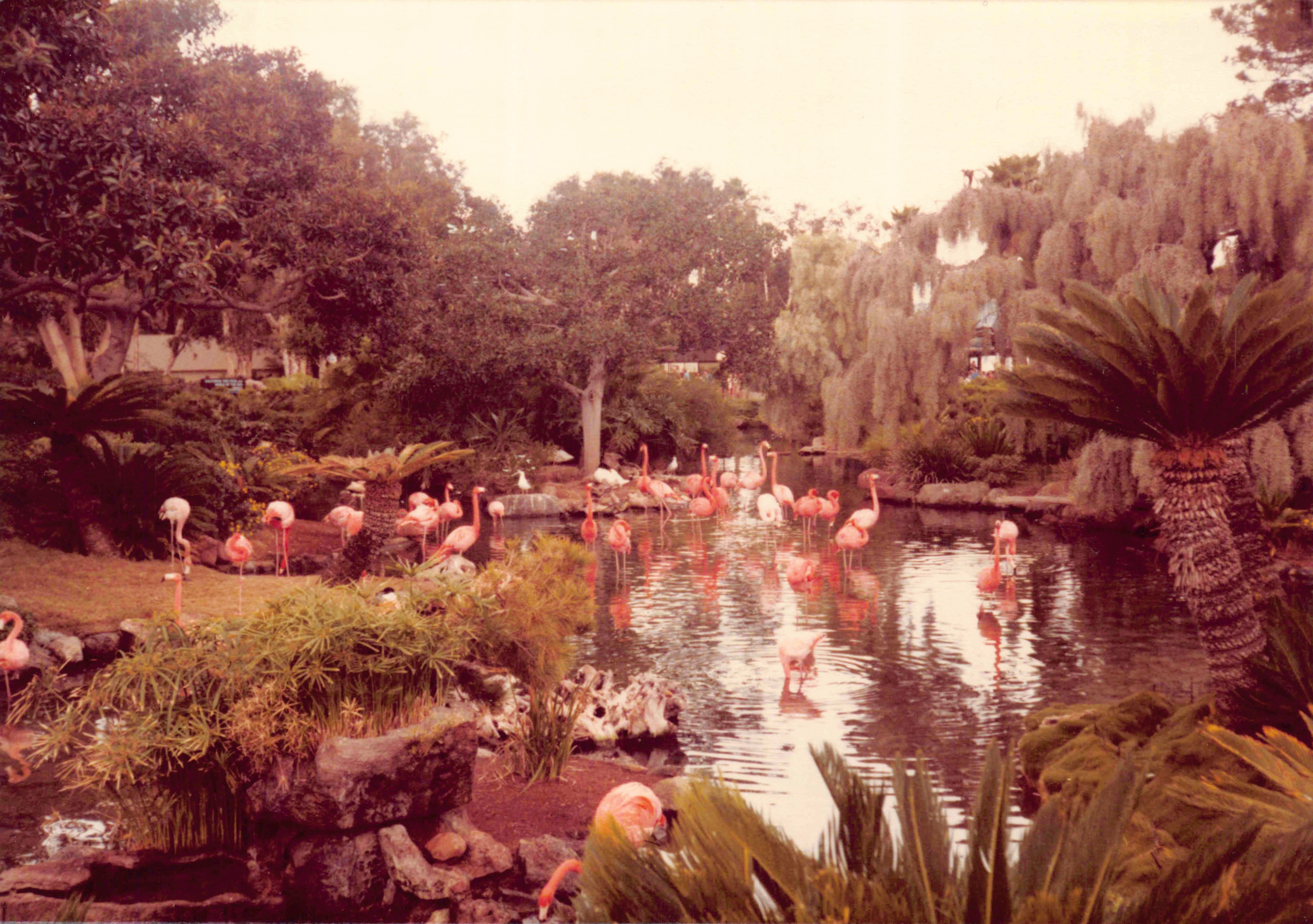 1980-1984_154.jpg
