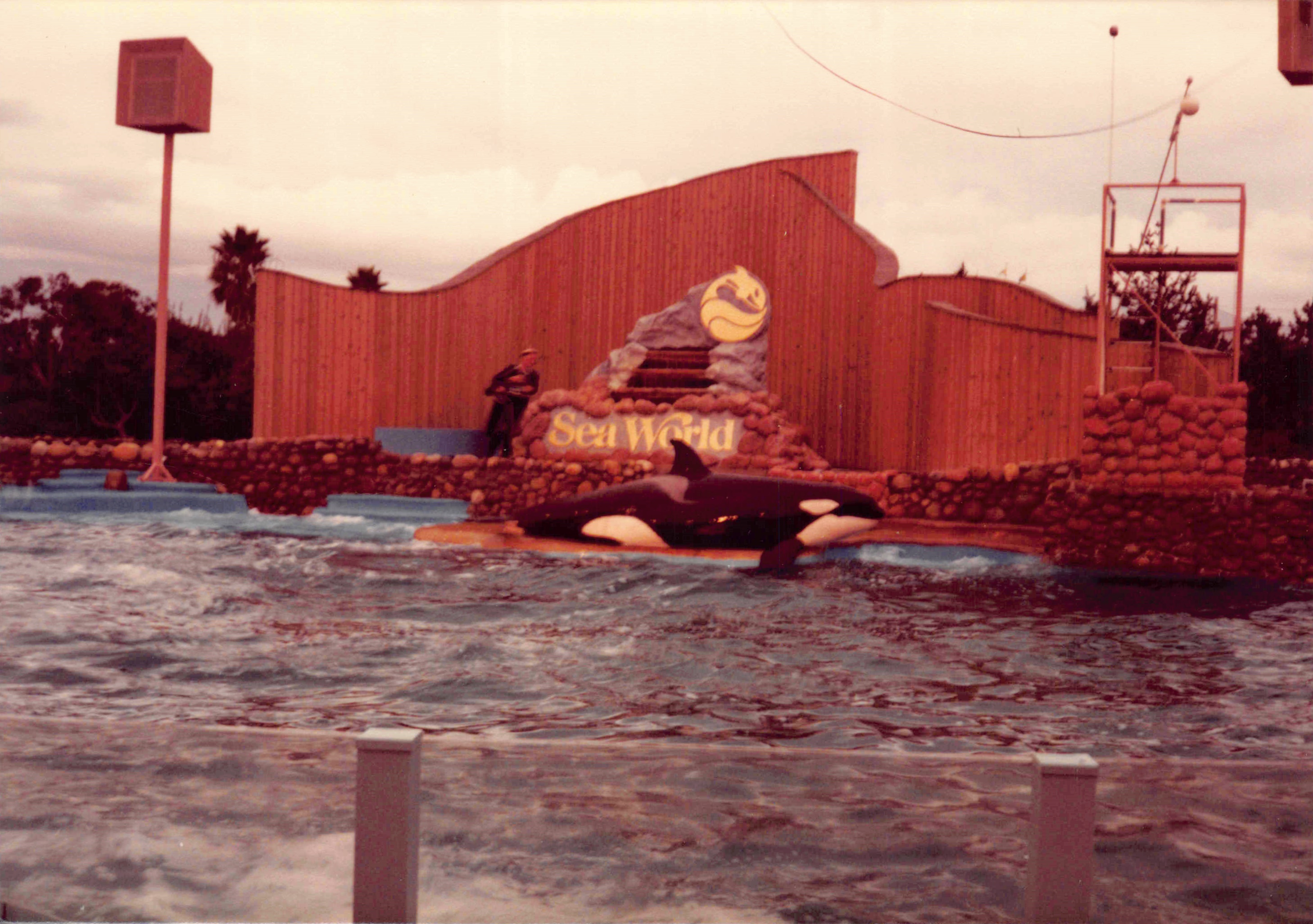 1980-1984_155.jpg