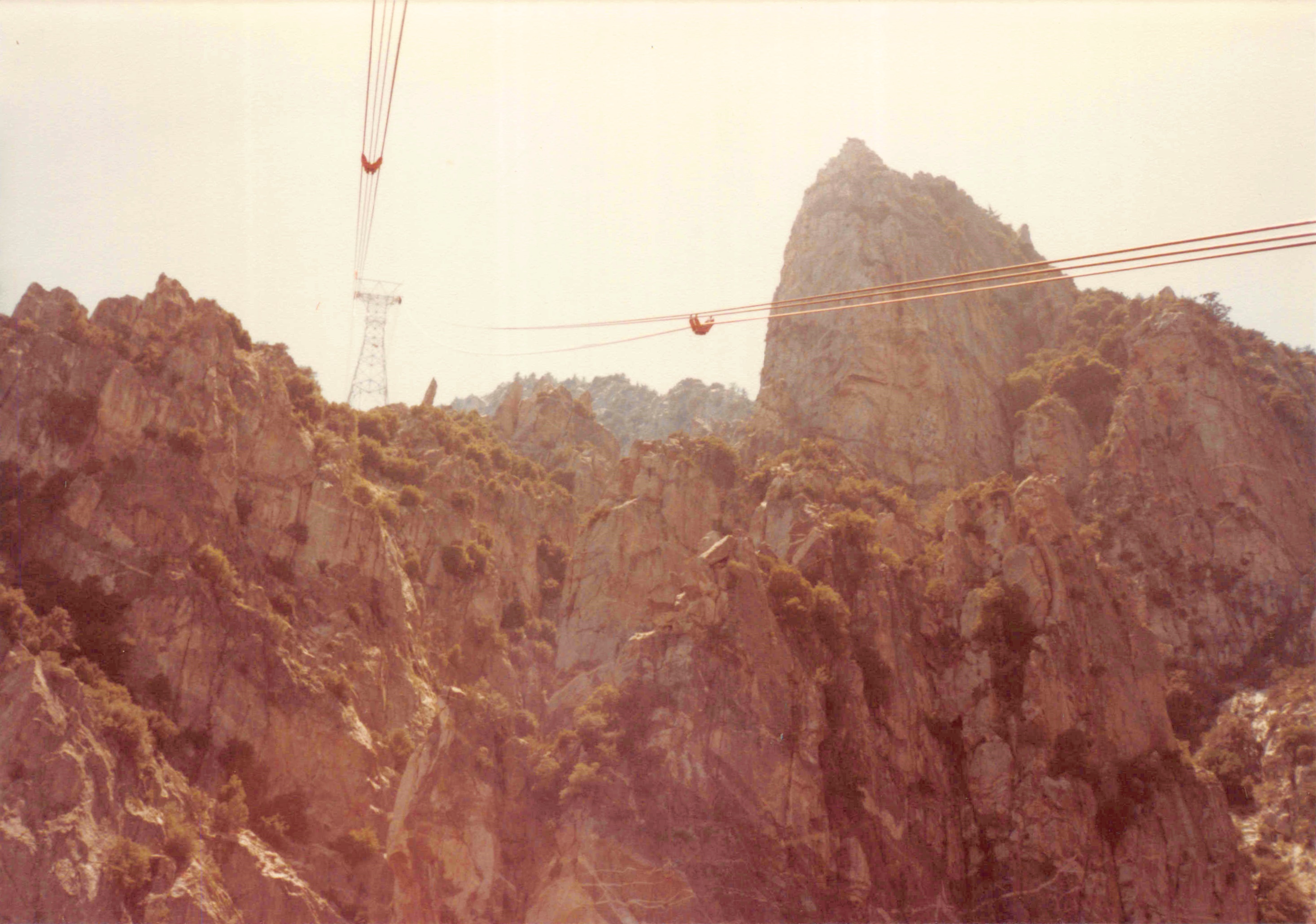 1980-1984_169.jpg