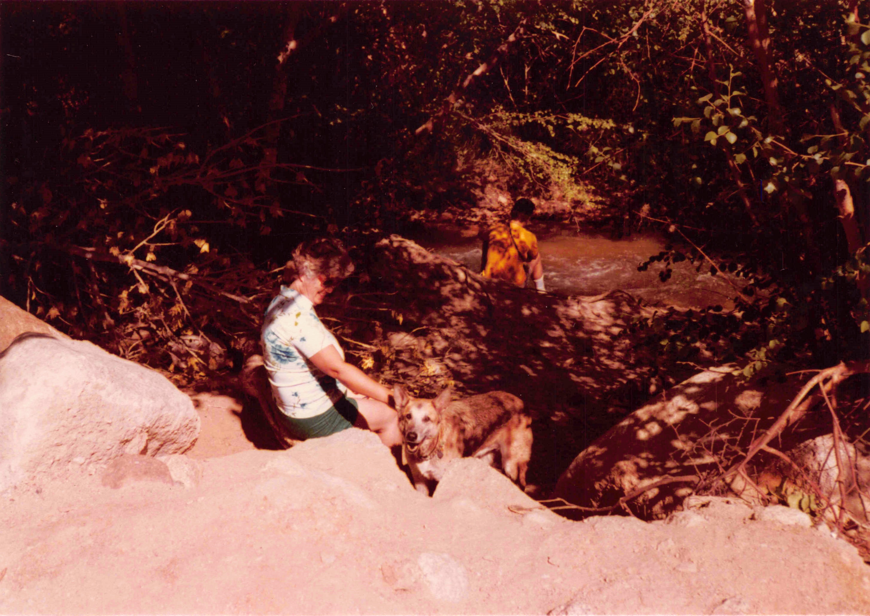 1980-1984_180.jpg