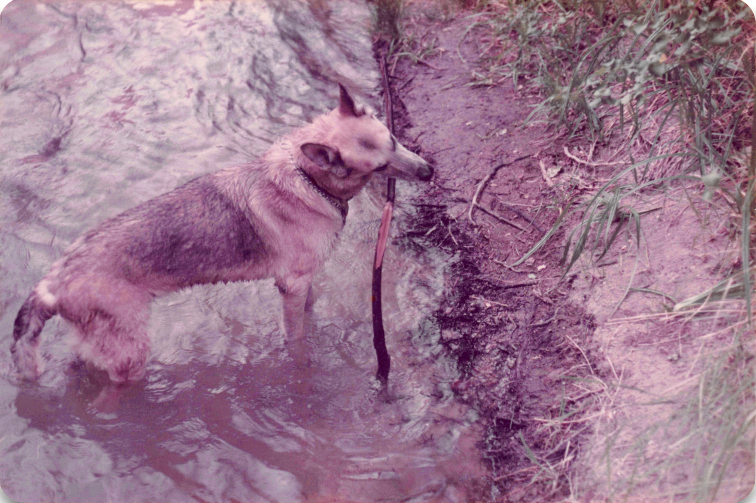1980-1984_181.jpg