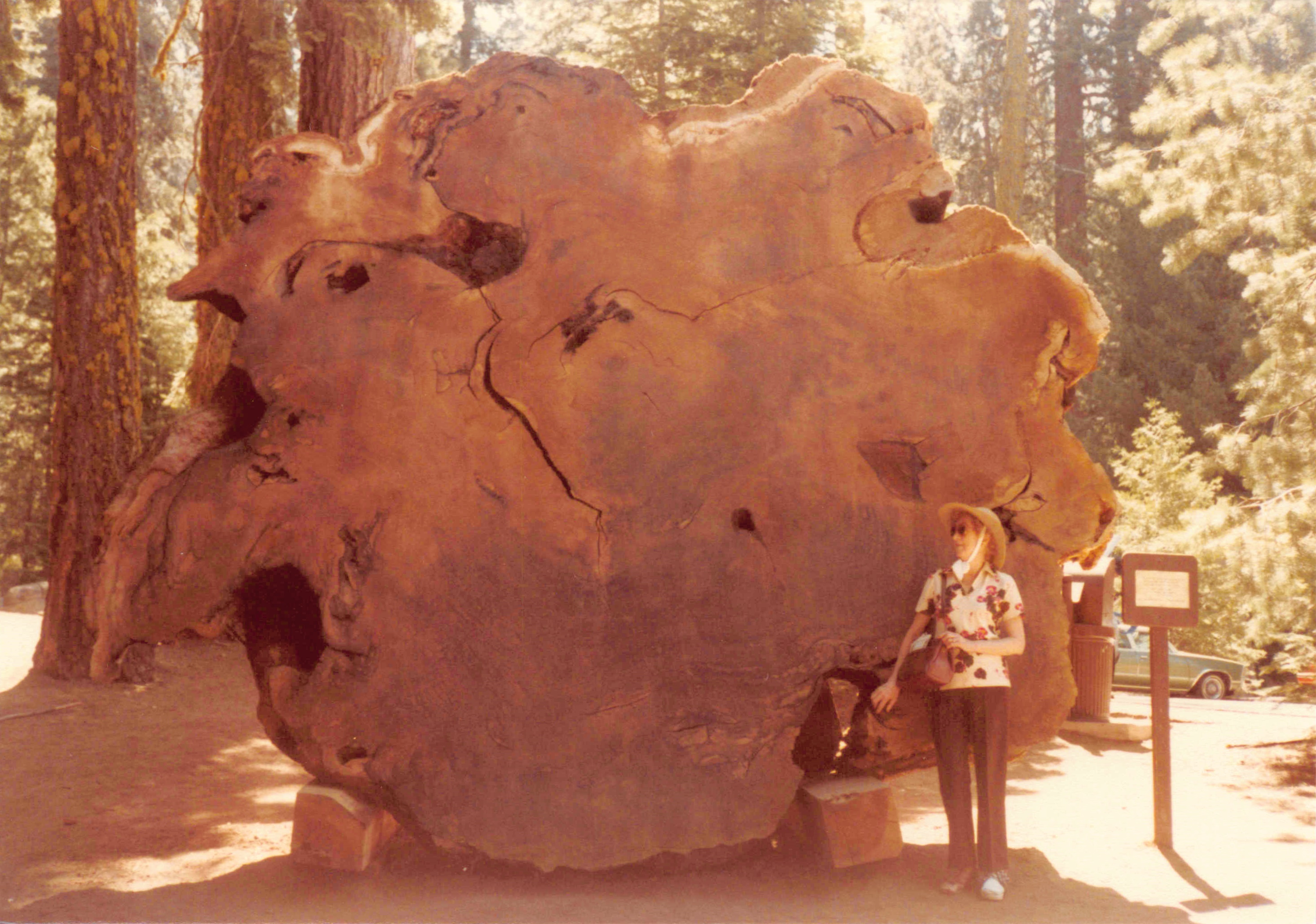 1980-1984_185.jpg
