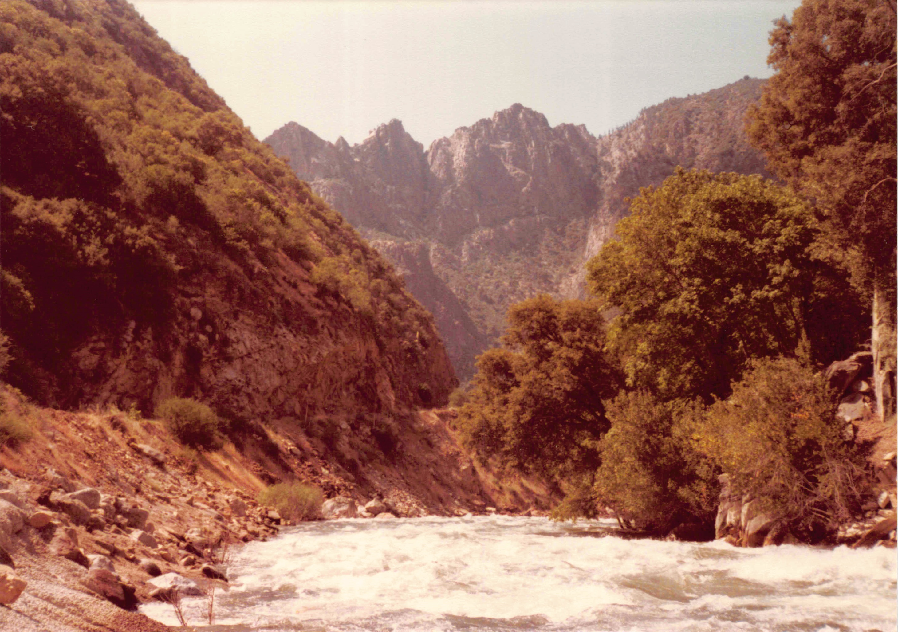 1980-1984_188.jpg