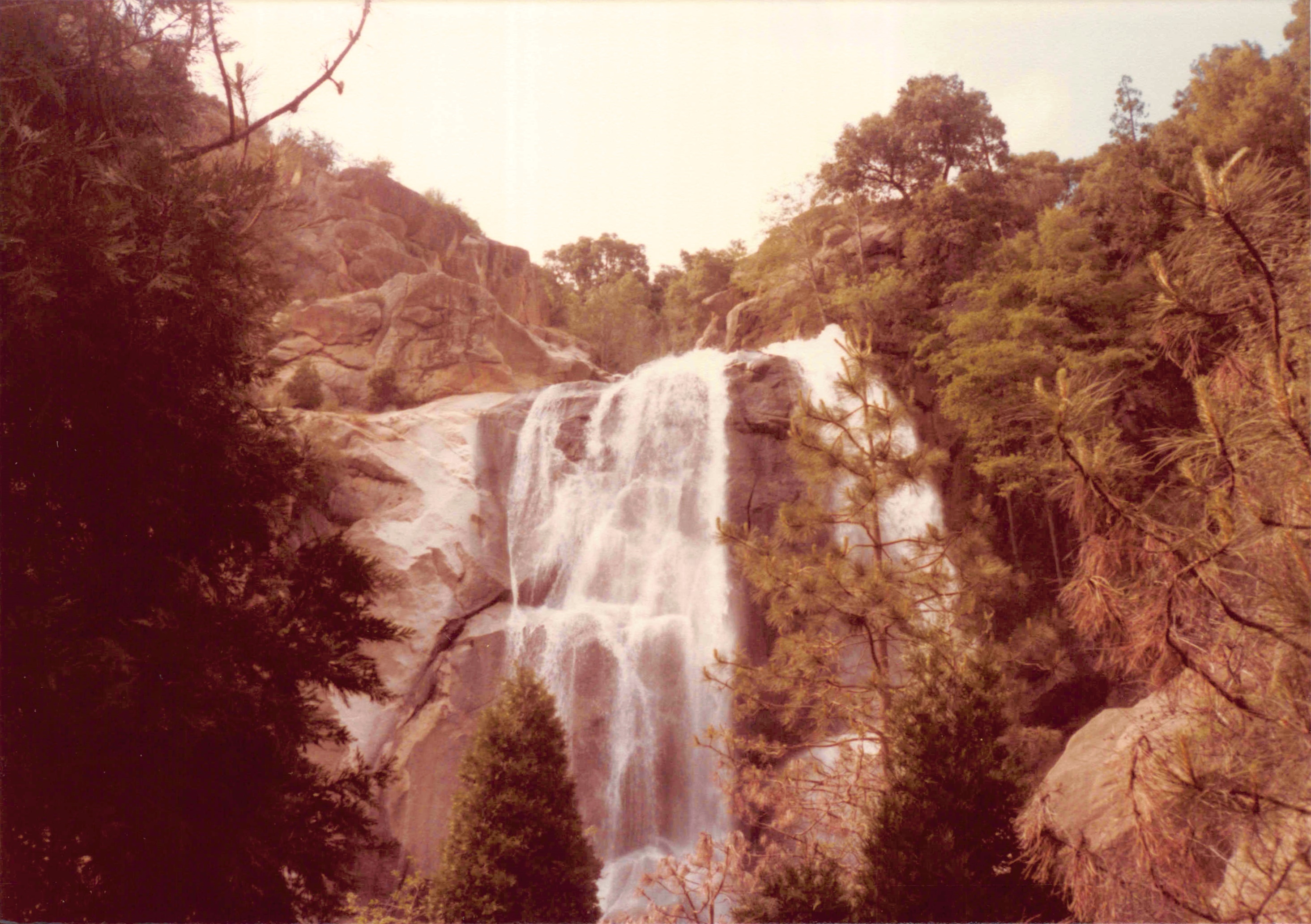1980-1984_190.jpg