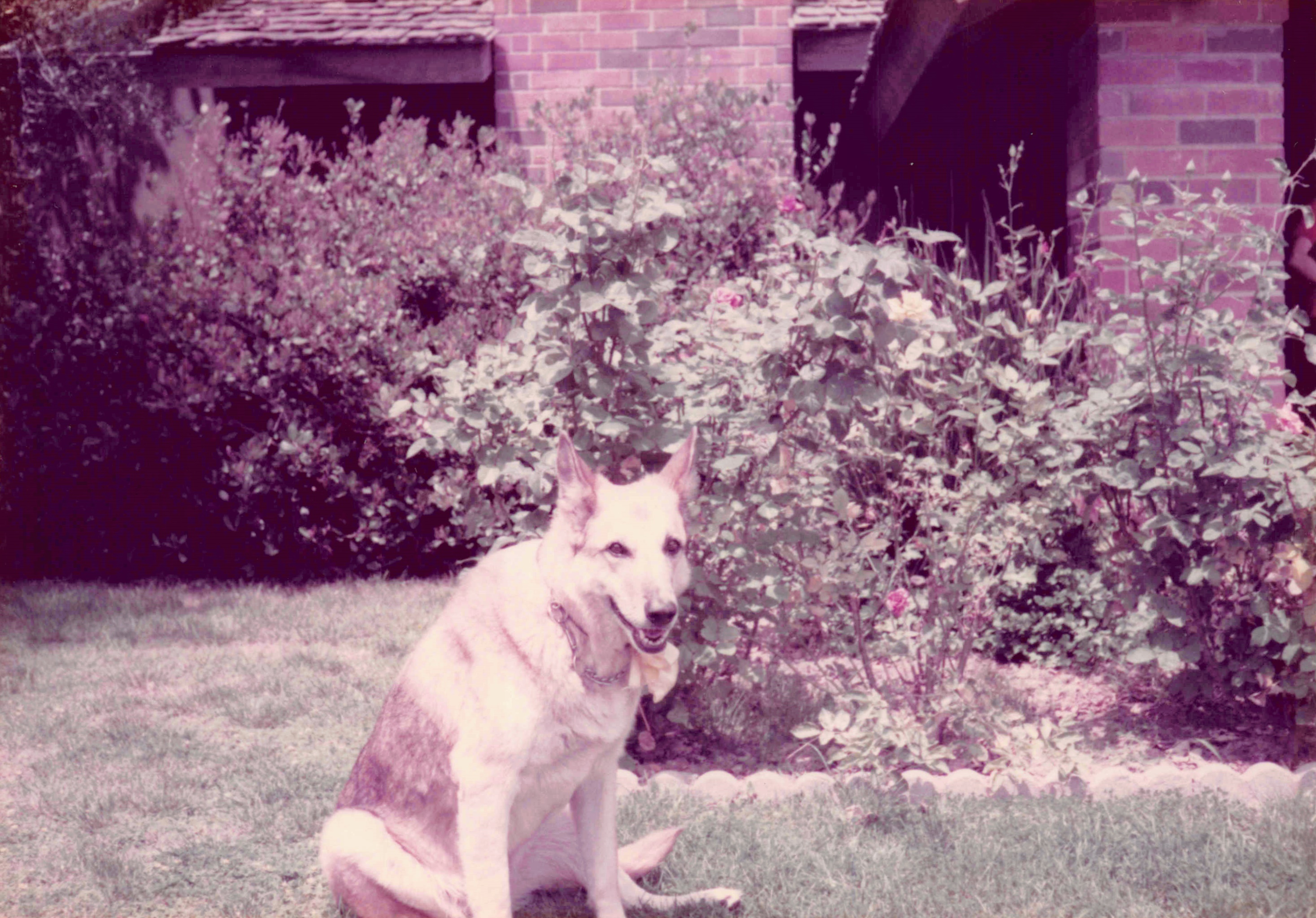 1980-1984_191.jpg