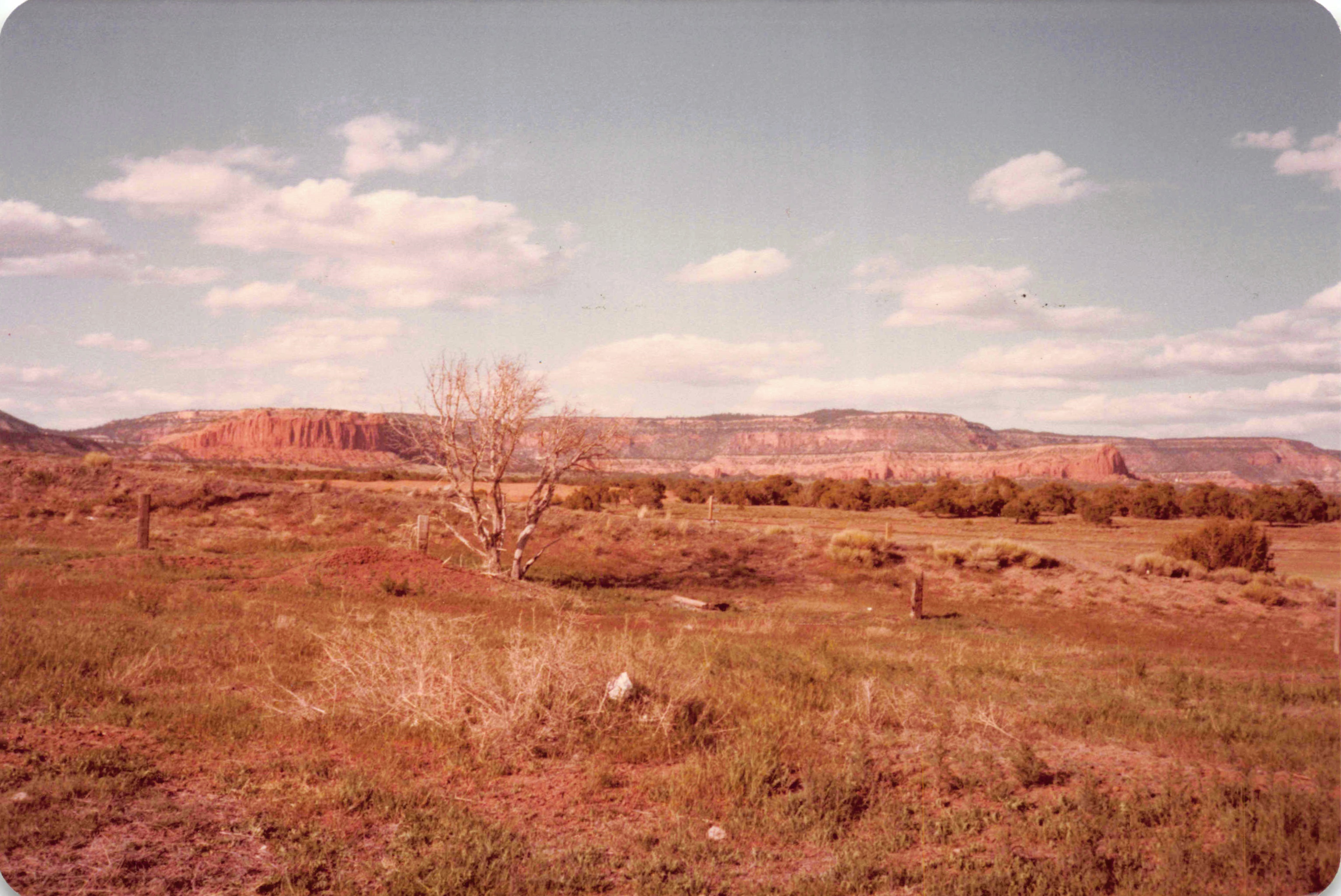 1983-1984_003.jpg