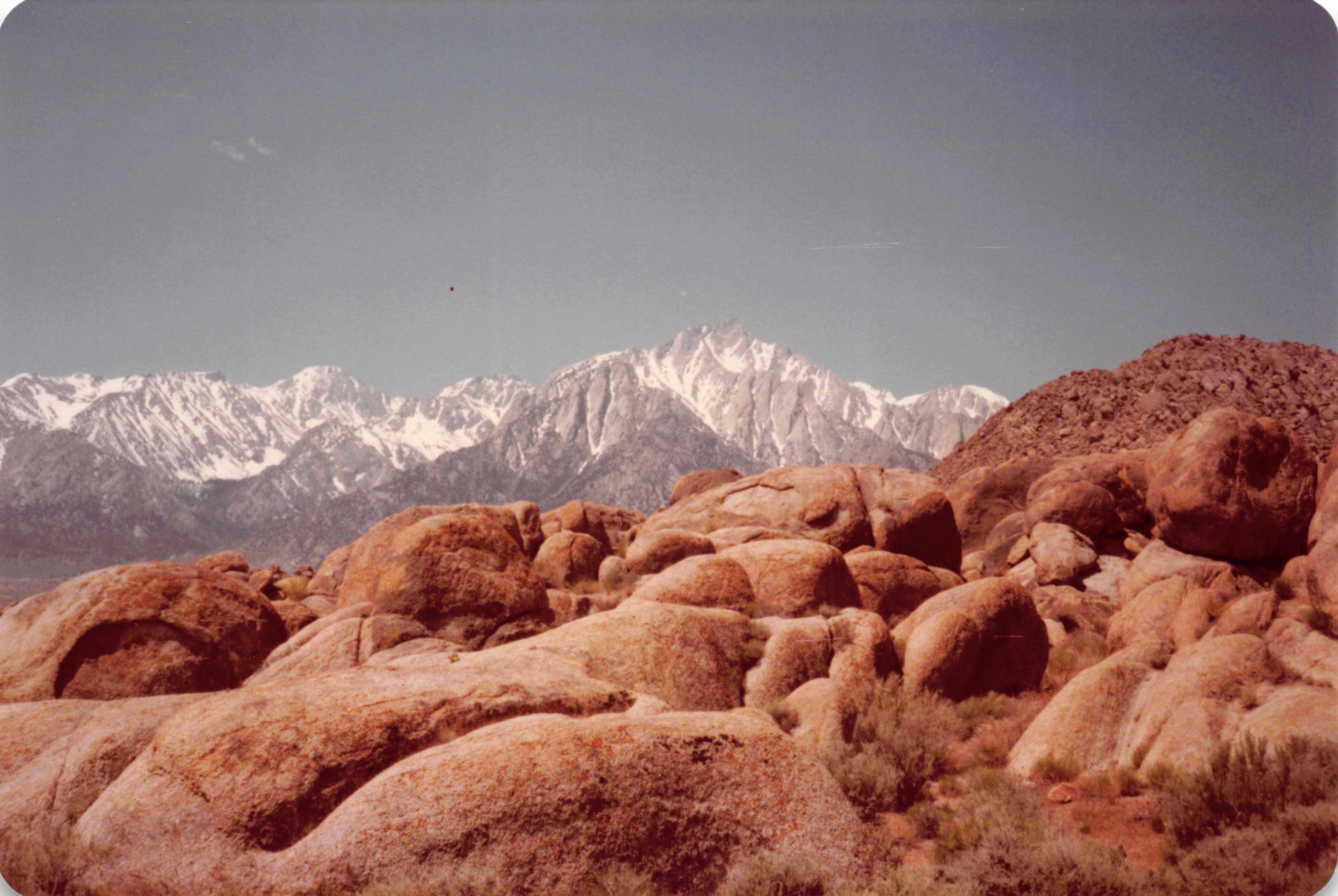 1983-1984_014.jpg