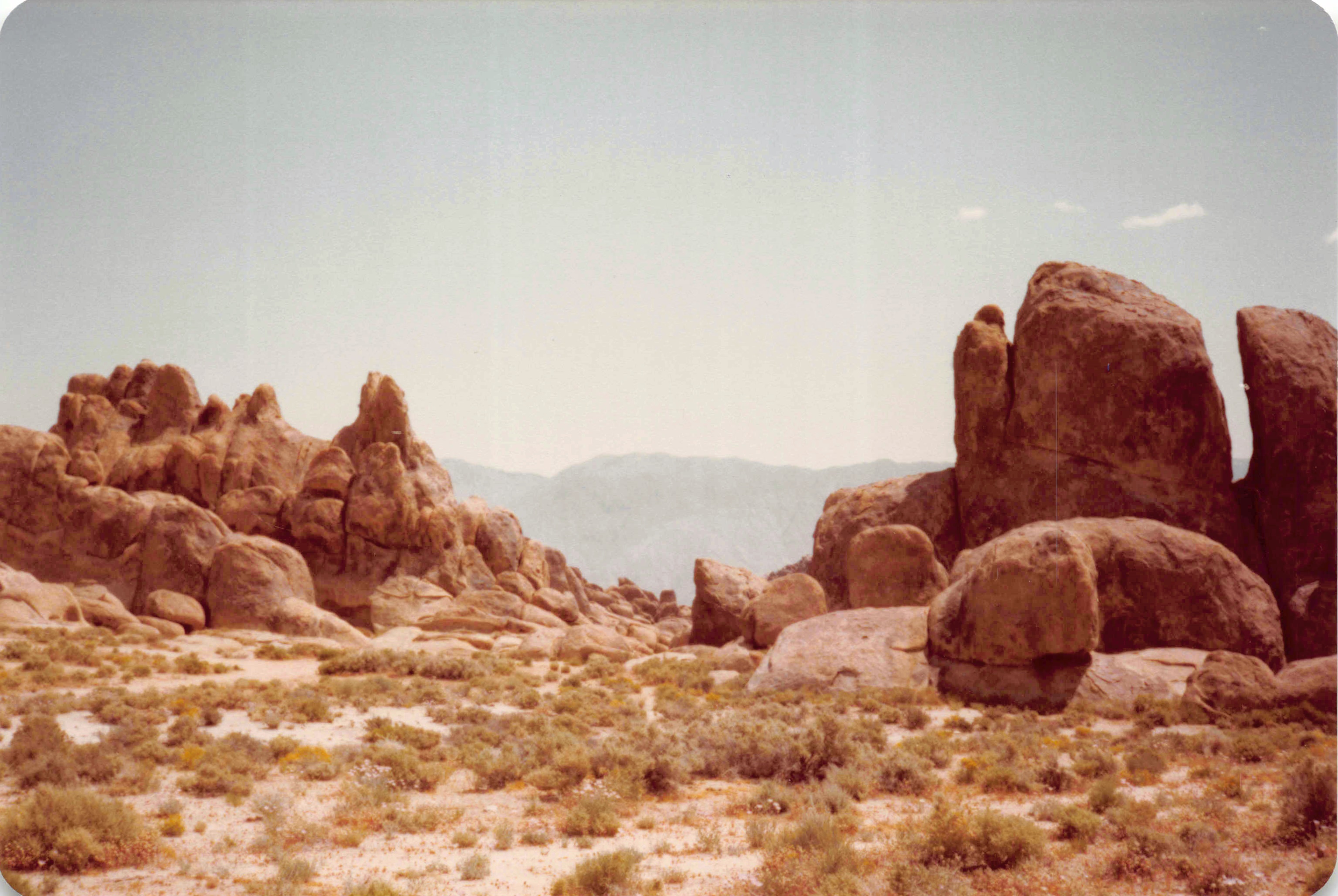 1983-1984_015.jpg