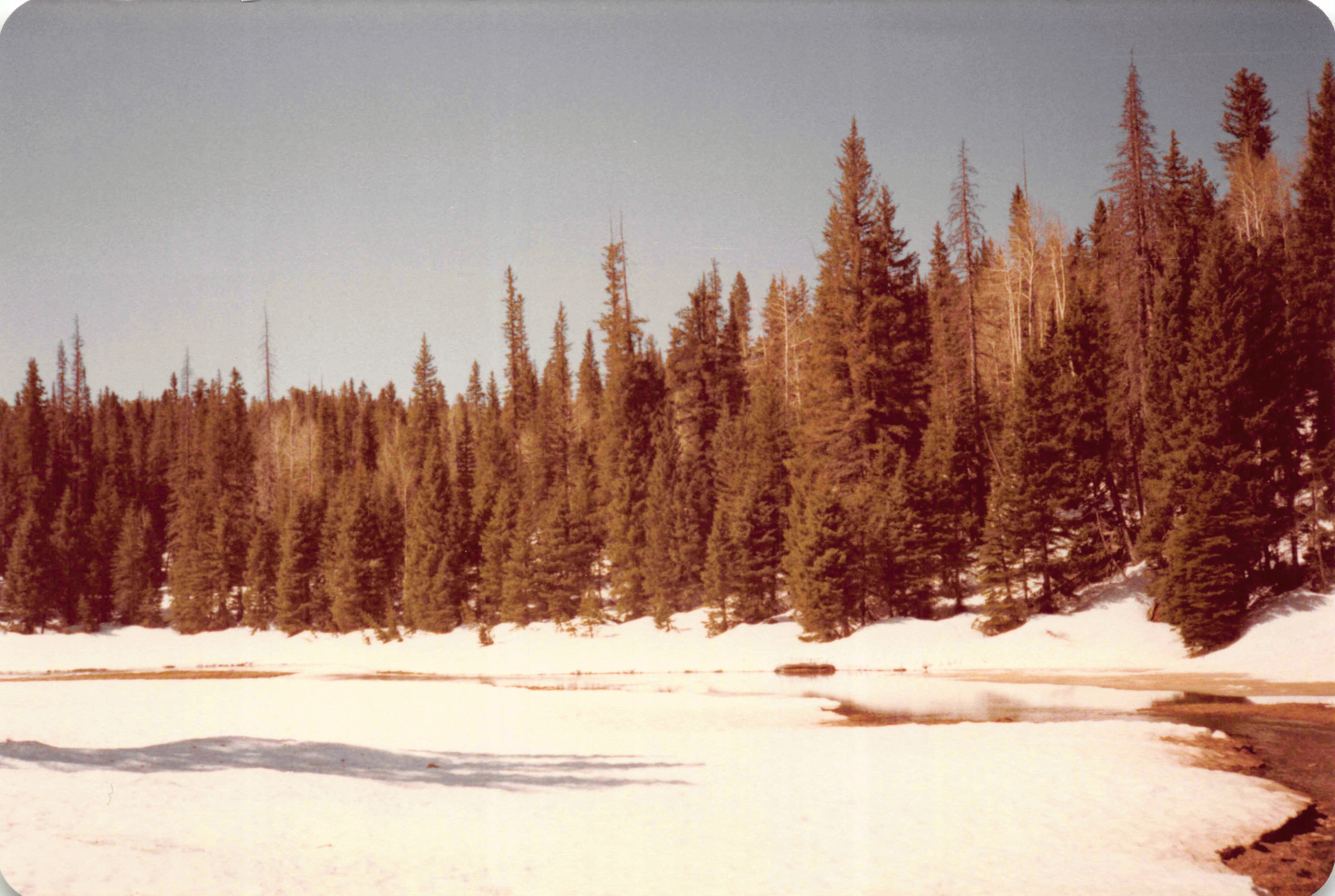 1983-1984_033.jpg