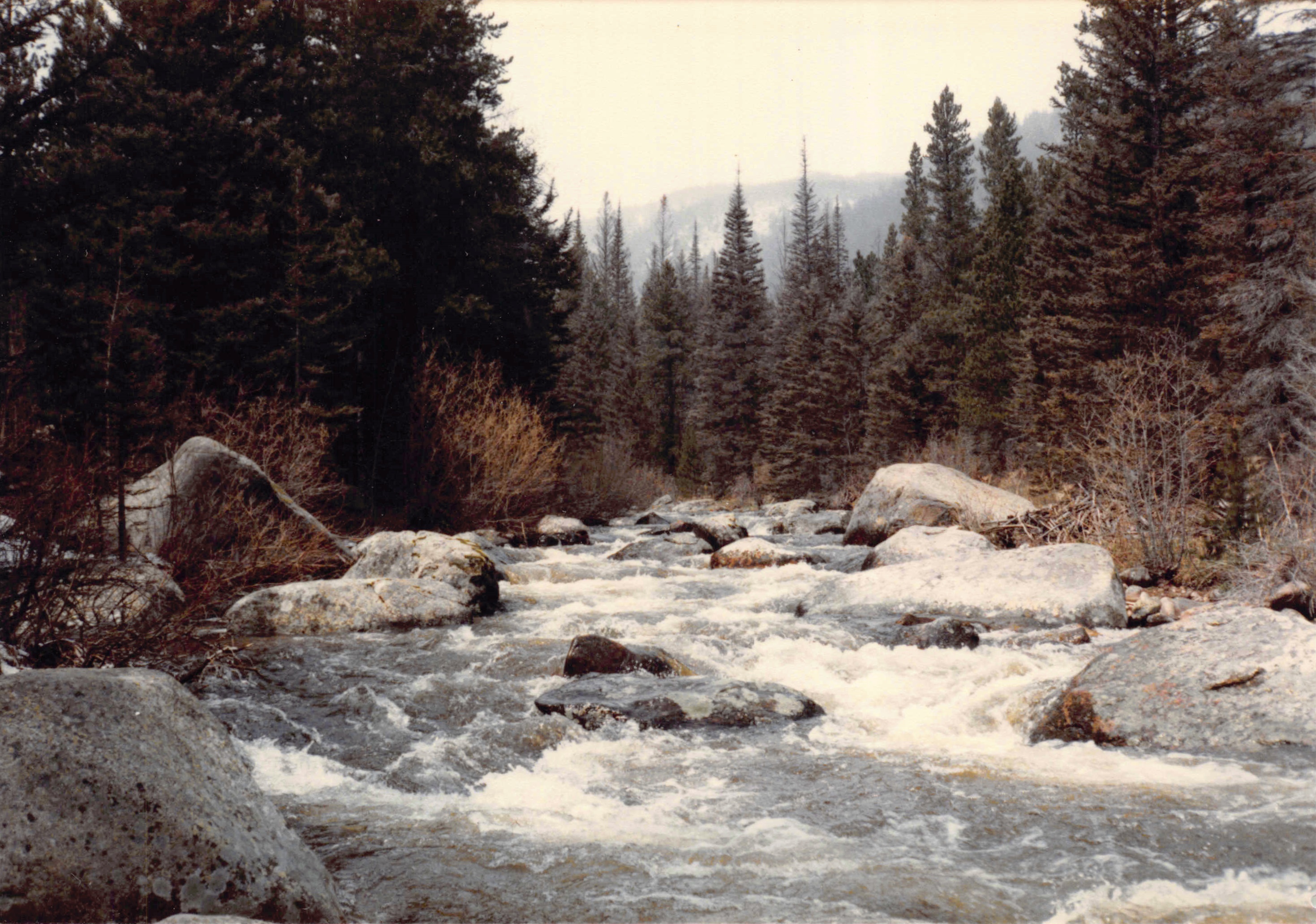 1985-1991_007.jpg