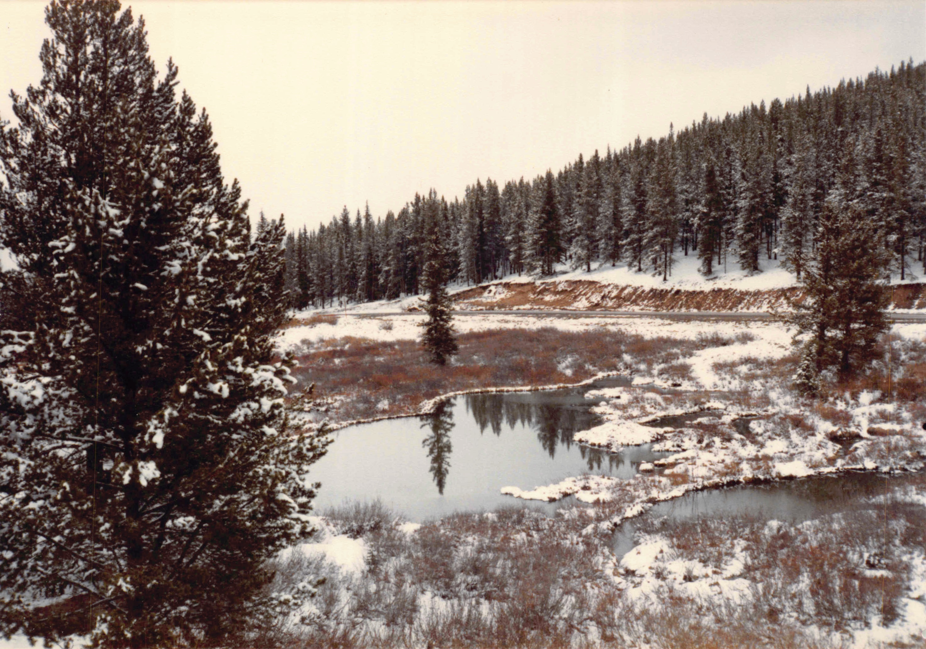 1985-1991_010.jpg