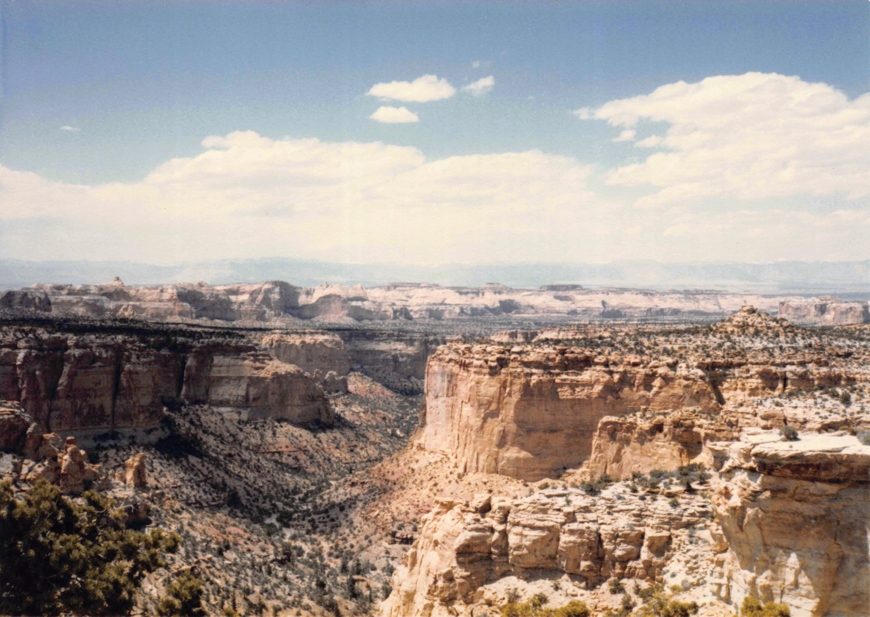 1985-1991_020.jpg