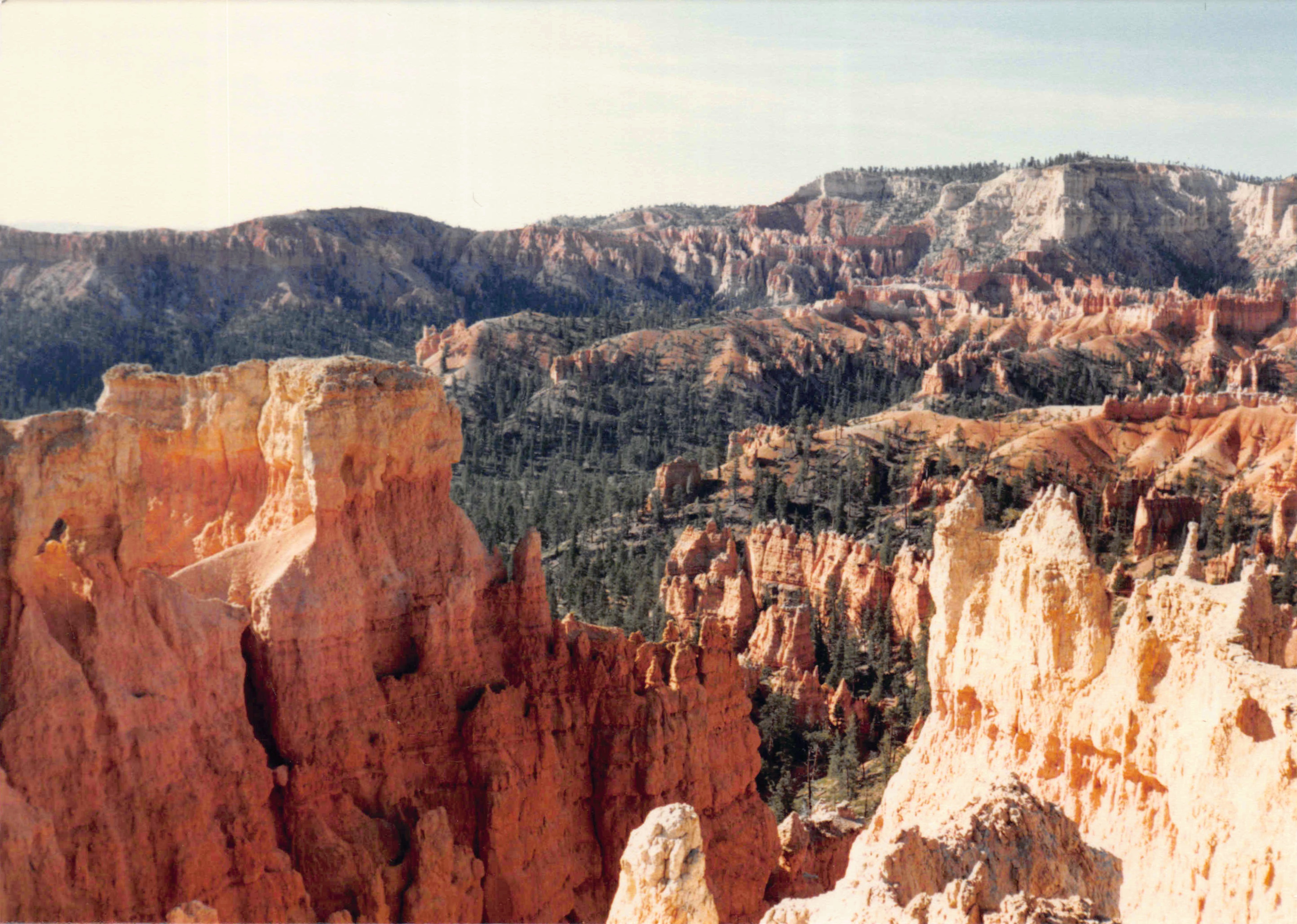 1985-1991_116.jpg