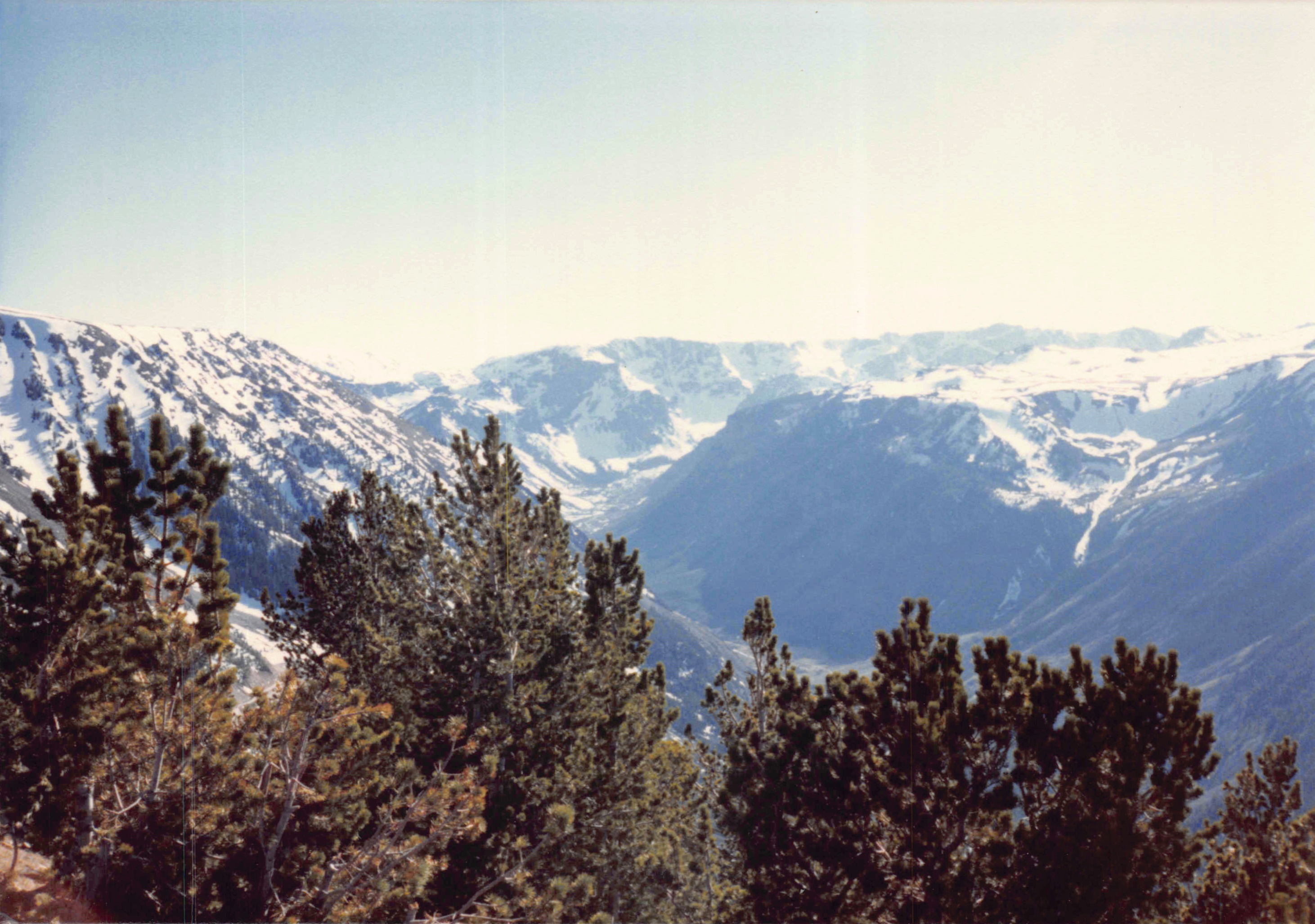 1985-1991_159.jpg