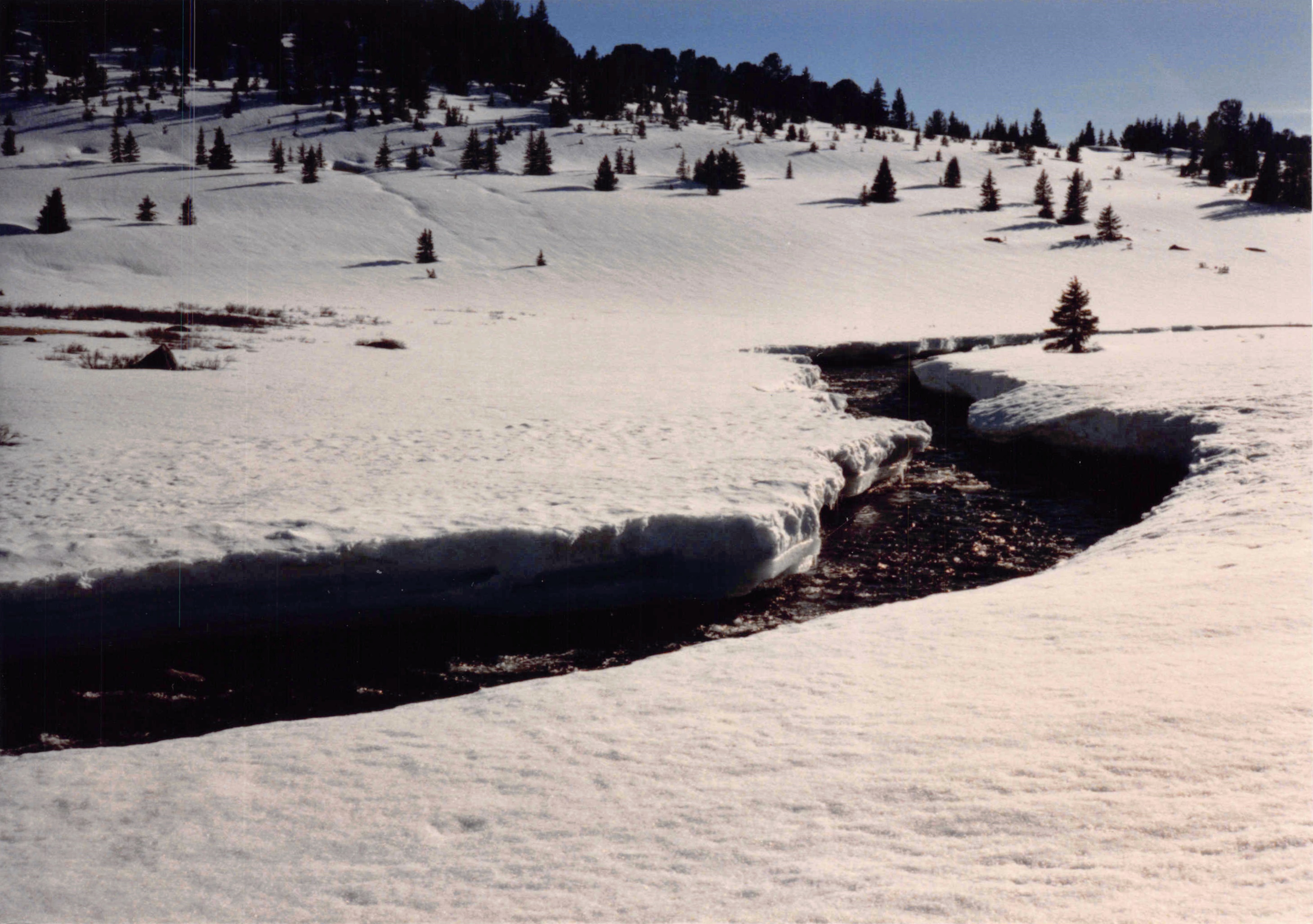 1985-1991_160.jpg