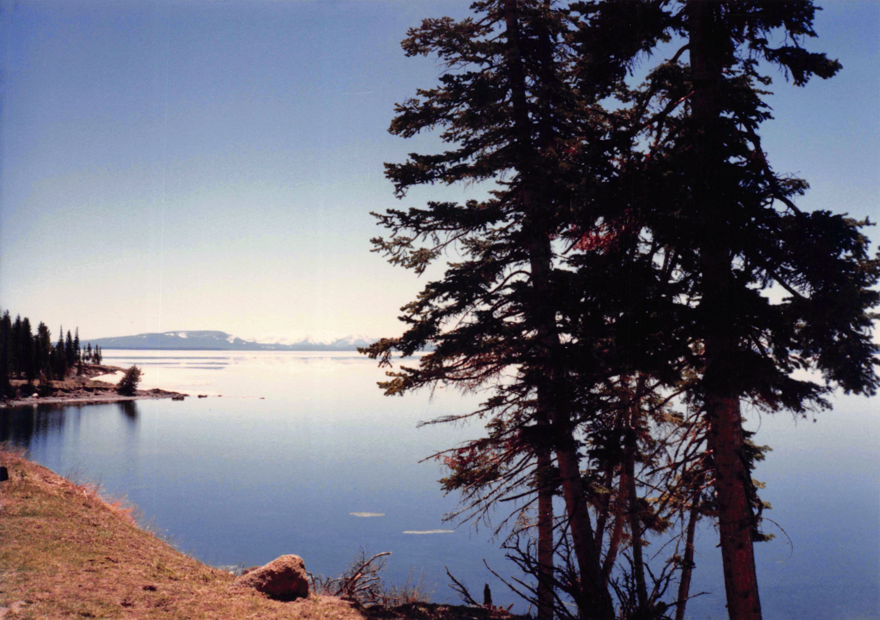 1985-1991_163.jpg