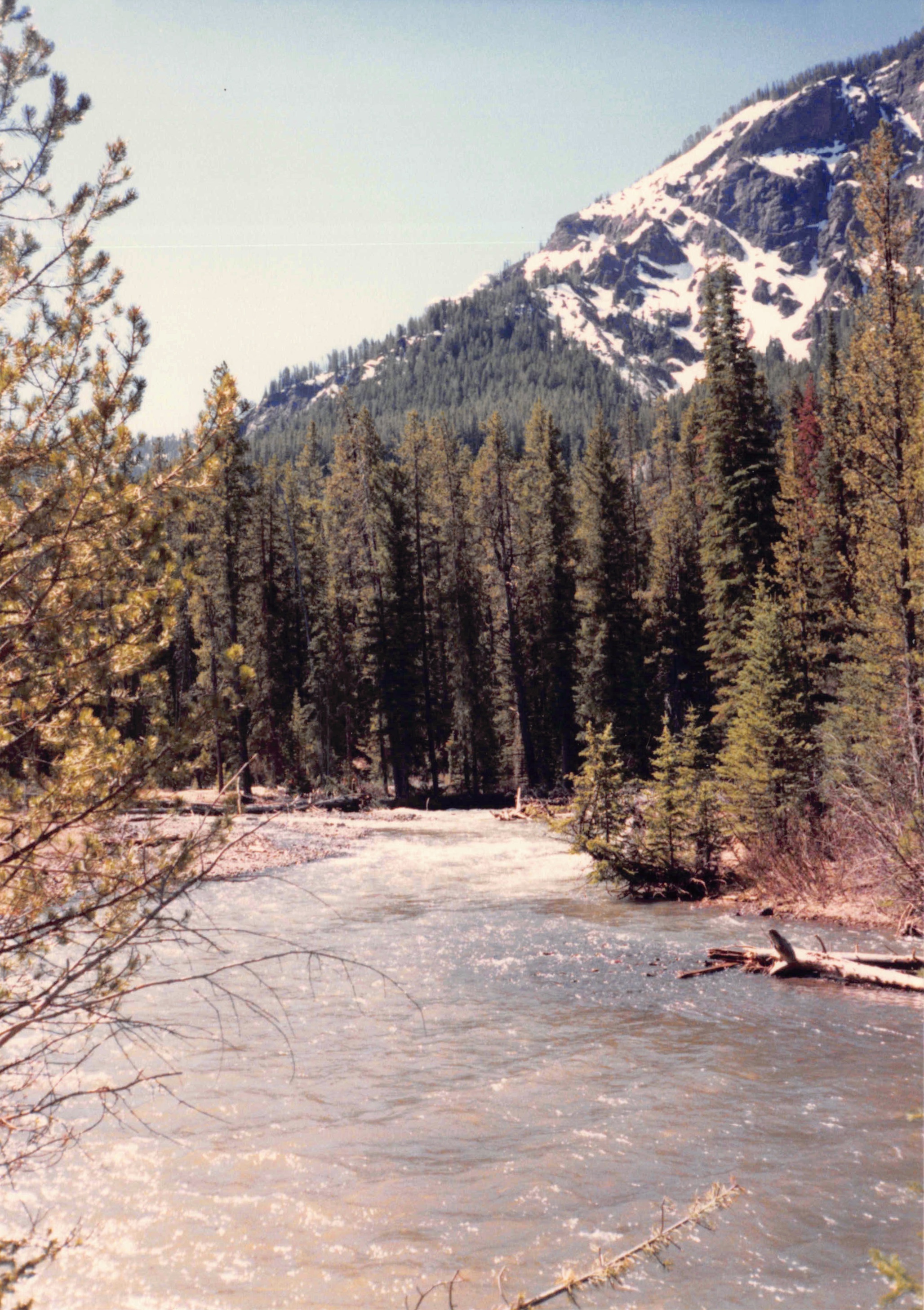 1985-1991_165.jpg