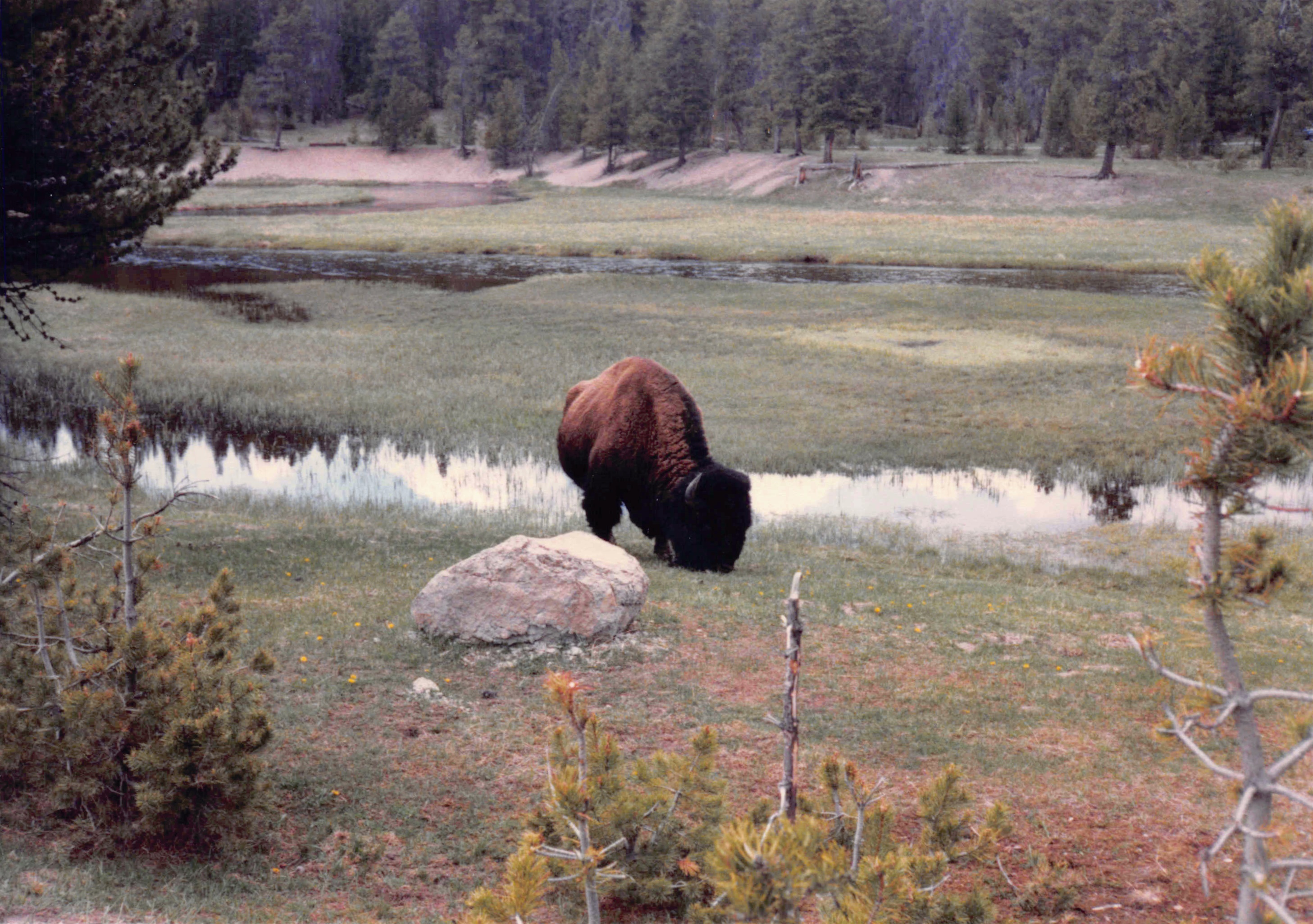 1985-1991_168.jpg