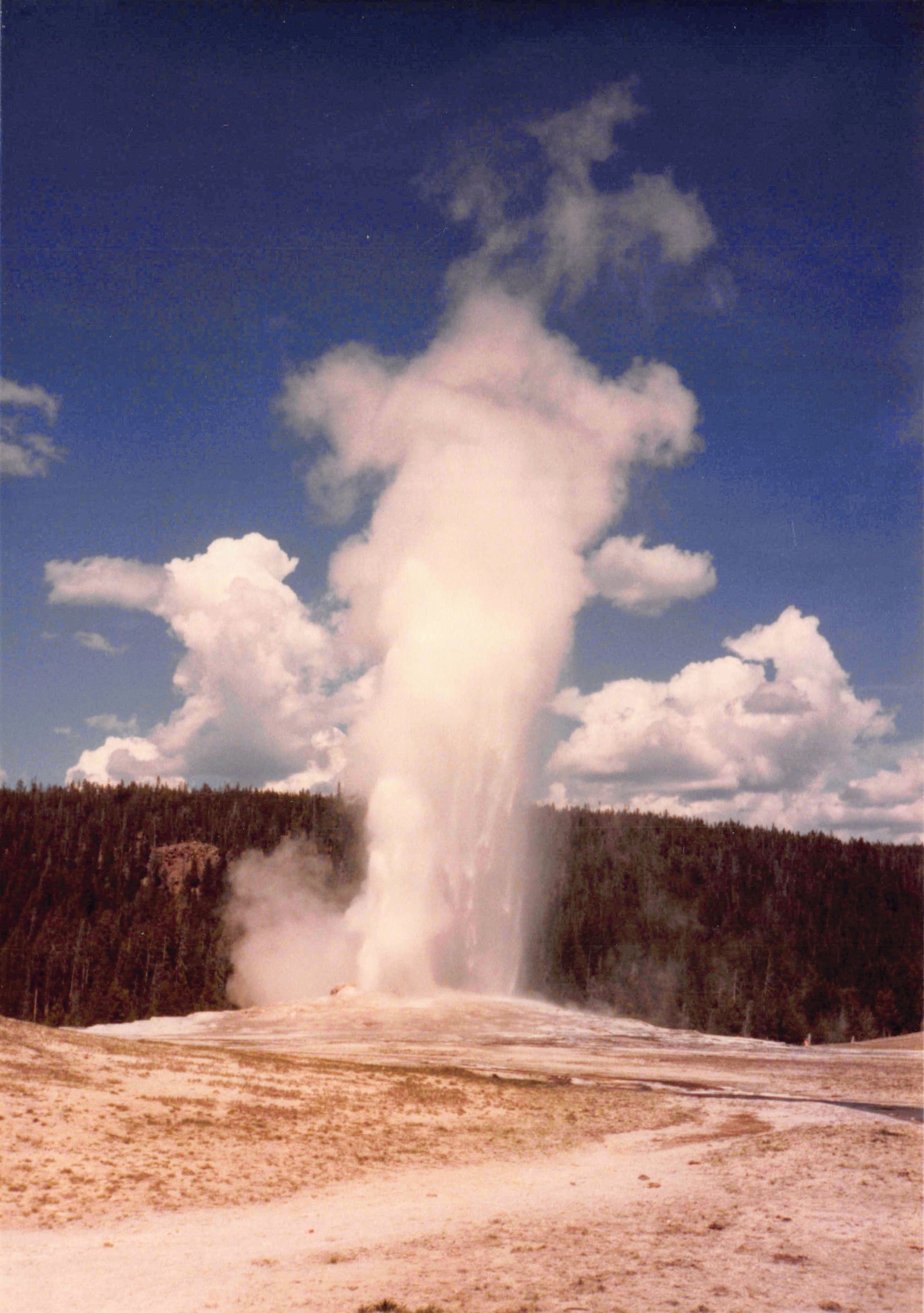 1985-1991_174.jpg