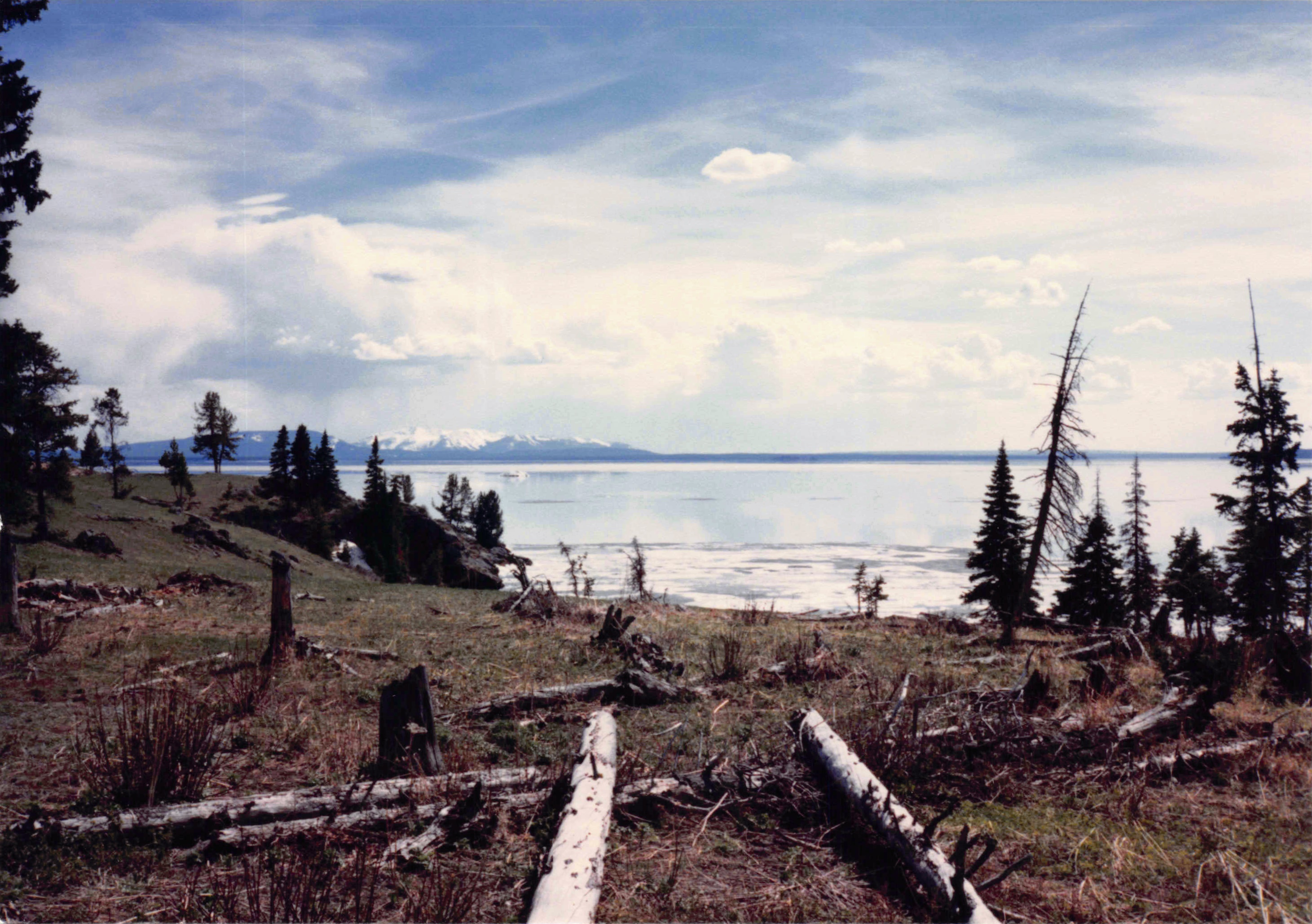 1985-1991_176.jpg