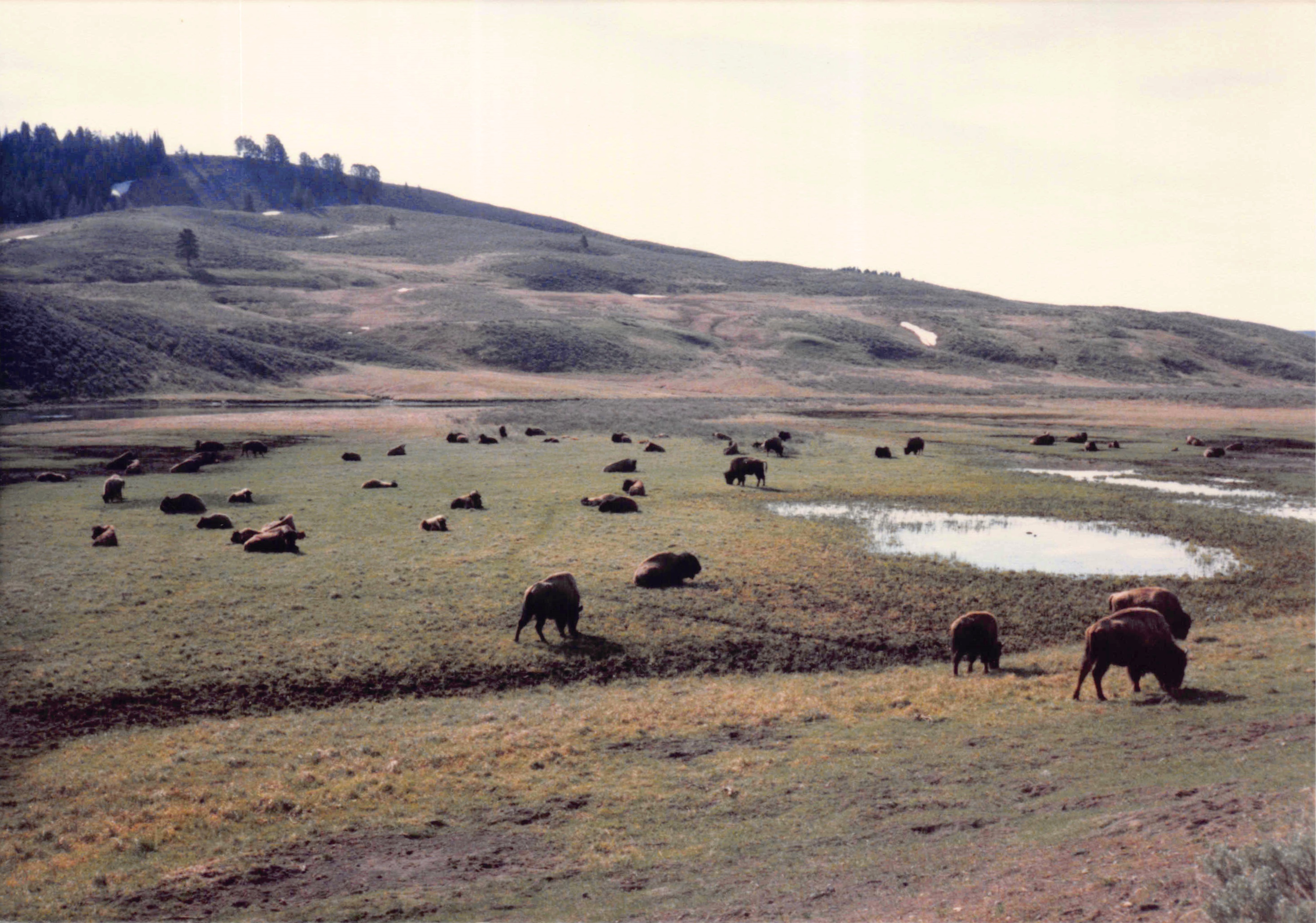 1985-1991_177.jpg