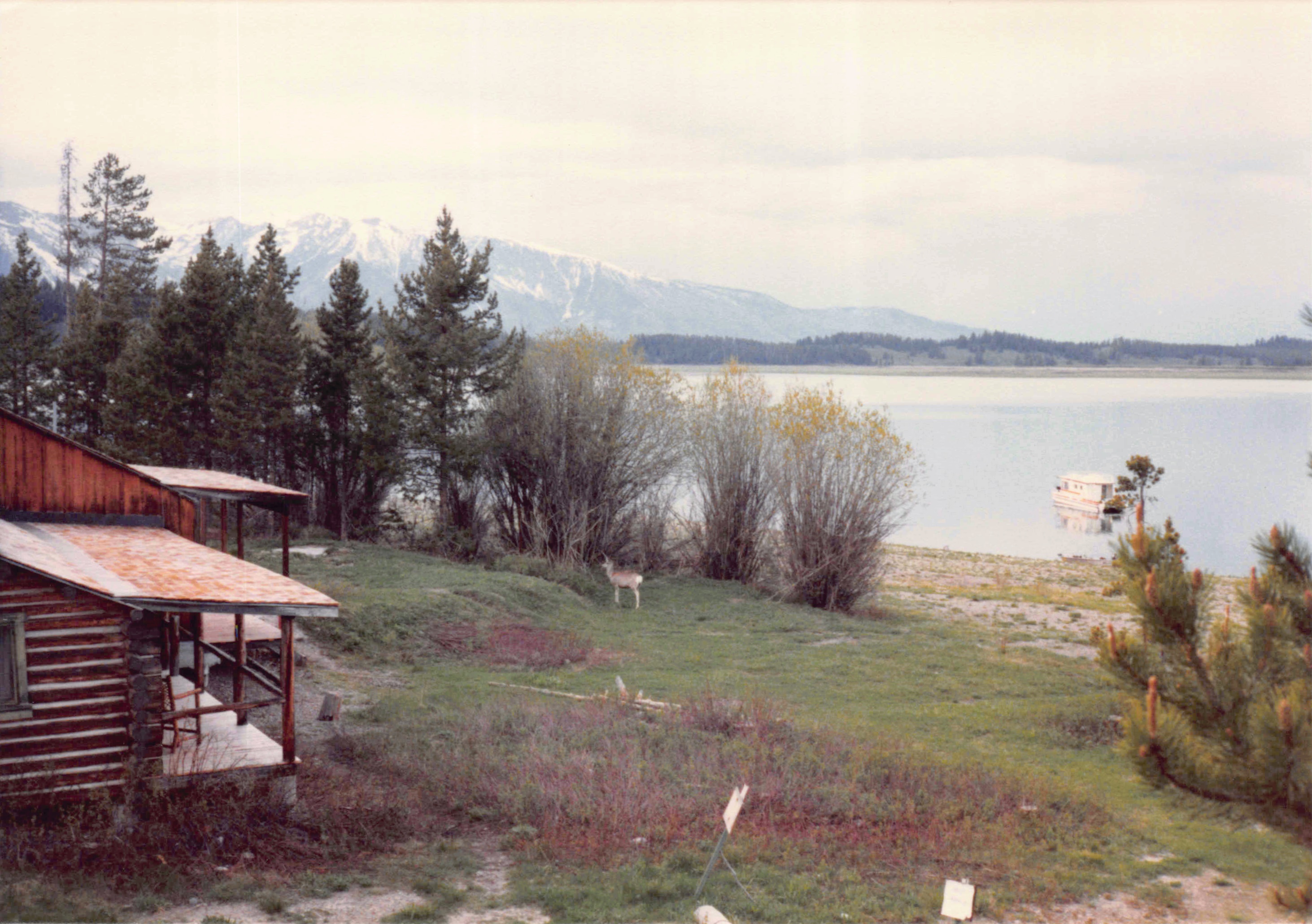 1985-1991_179.jpg