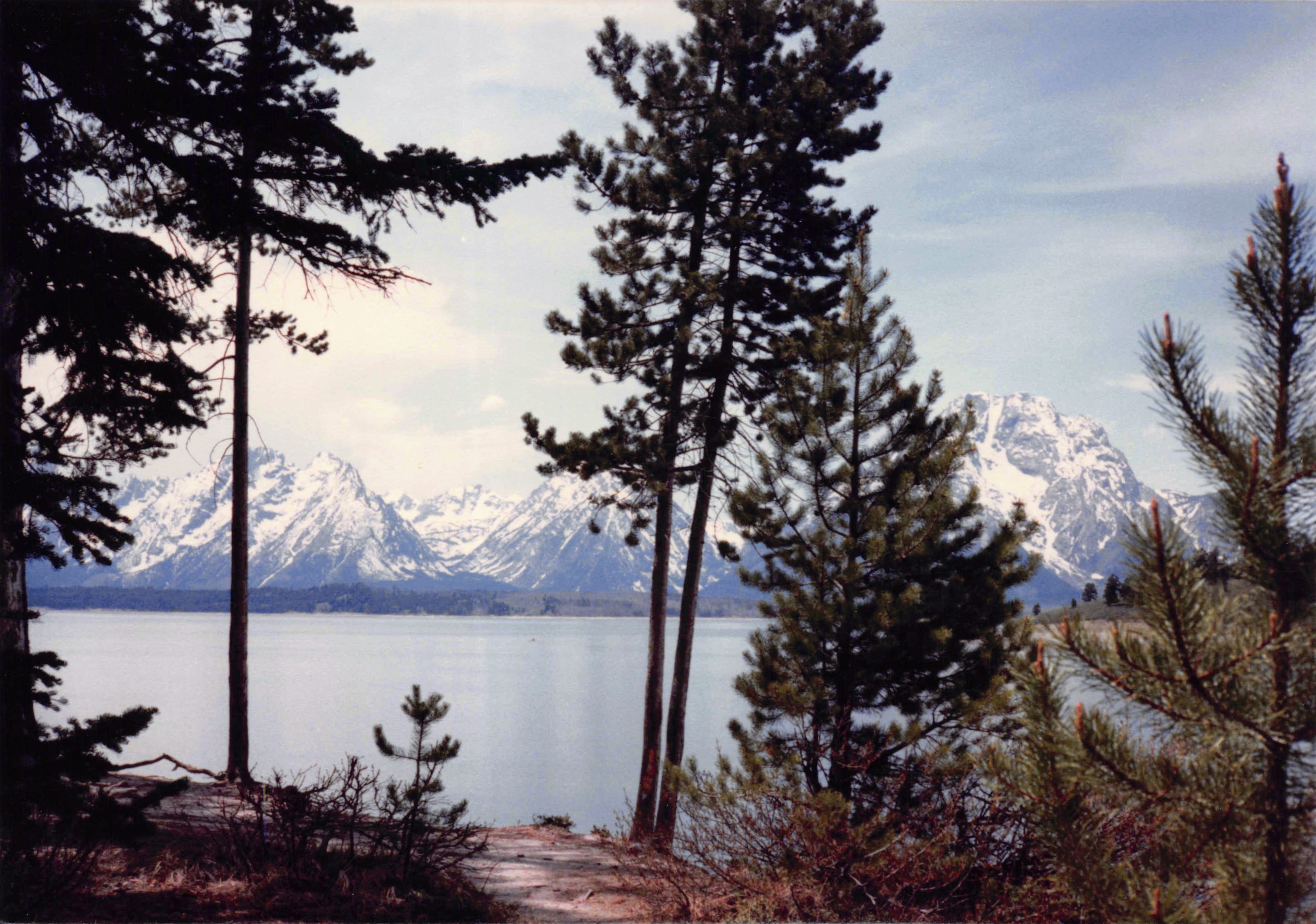 1985-1991_183.jpg