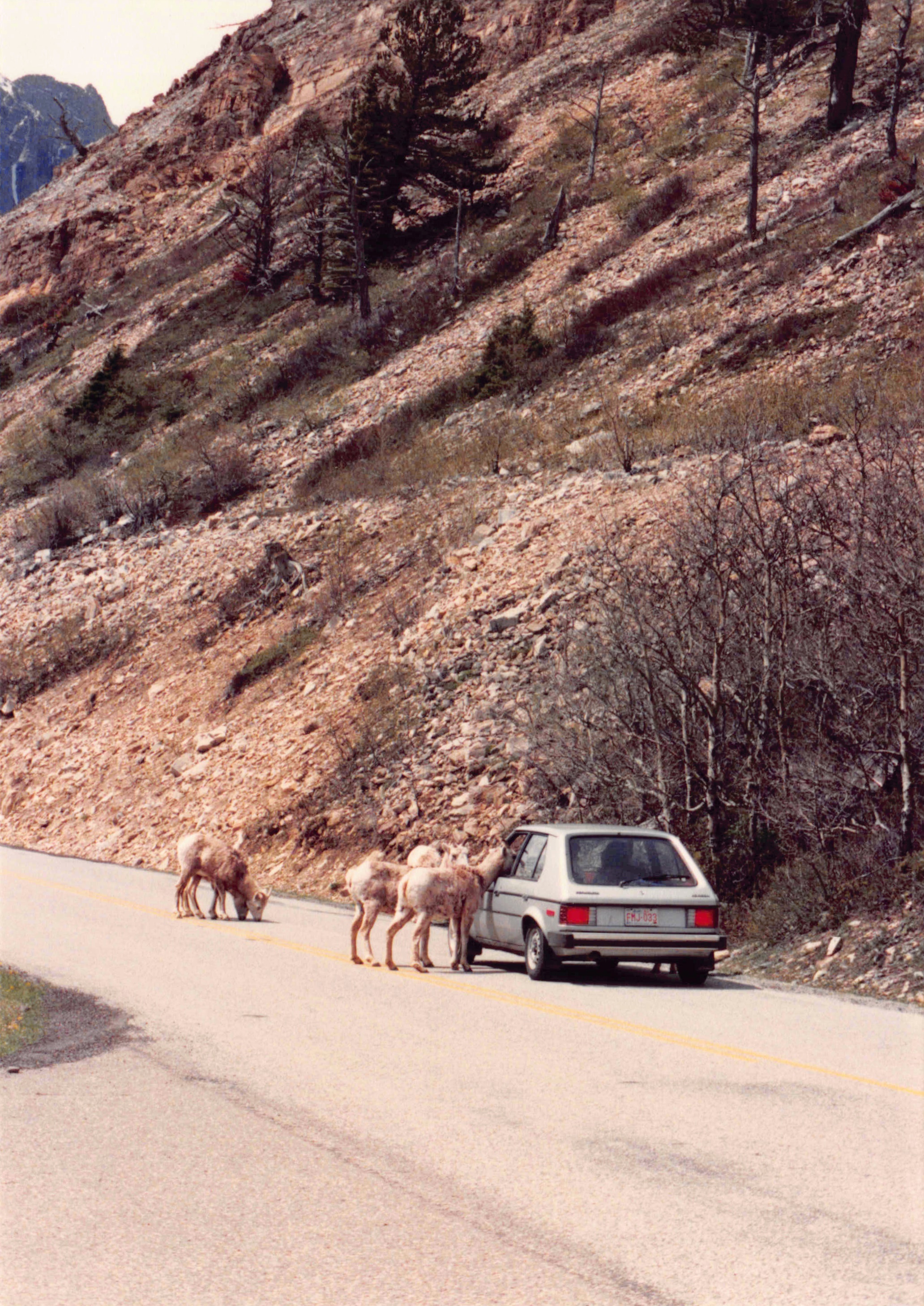 1985-1991_234.jpg