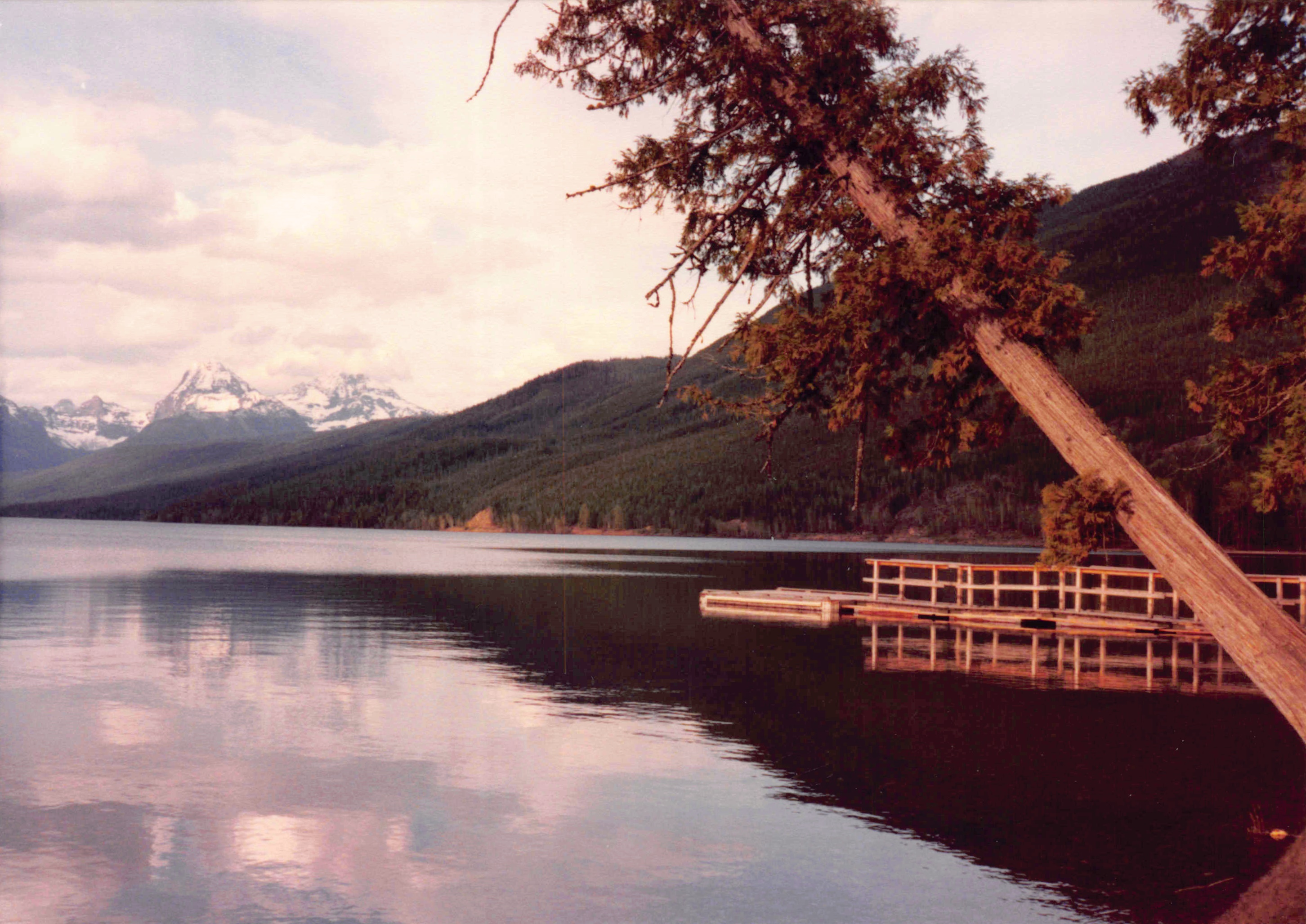 1985-1991_239.jpg