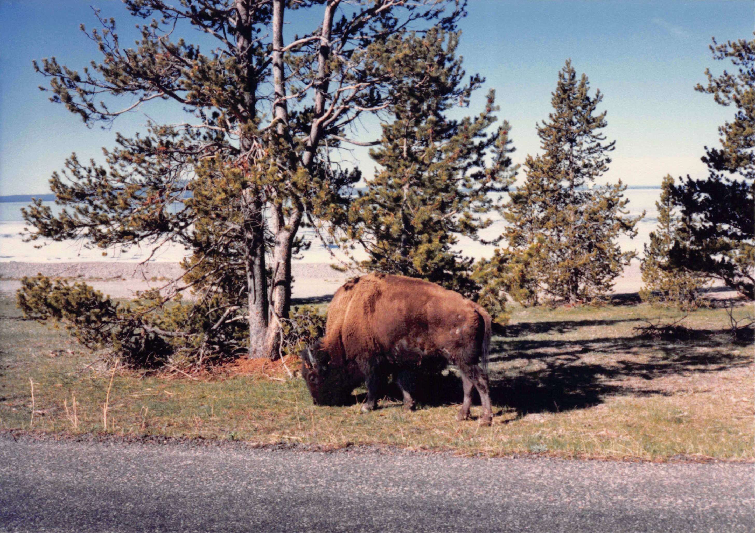 1985-1991_280.jpg