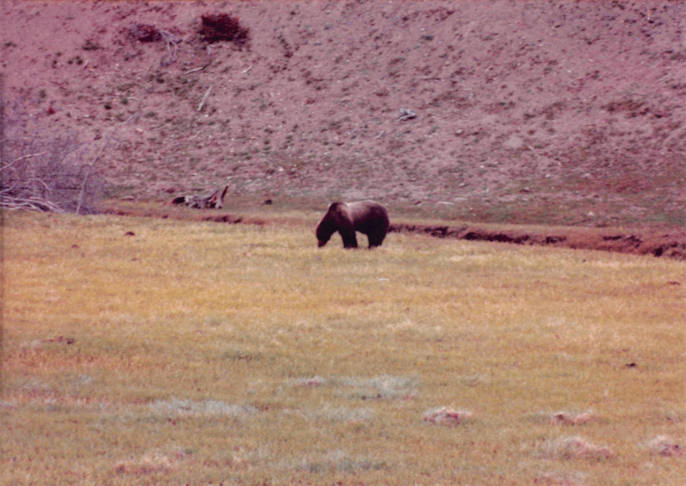 1985-1991_288.jpg