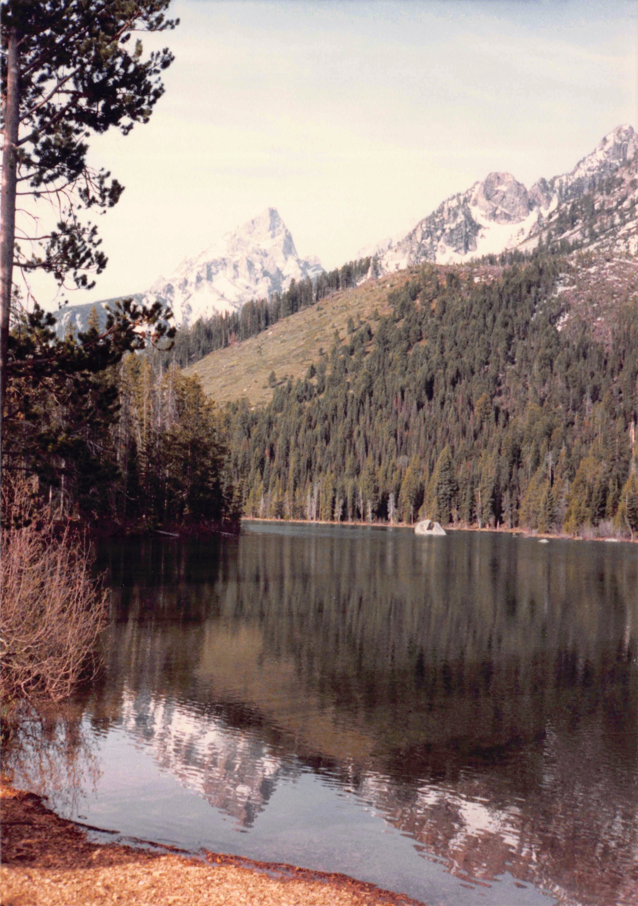 1985-1991_294.jpg