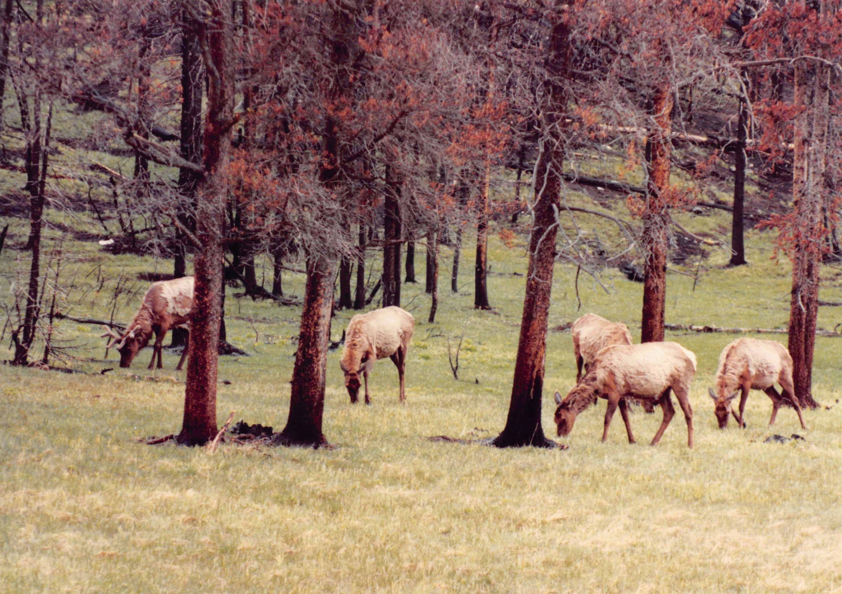 1985-1991_297.jpg