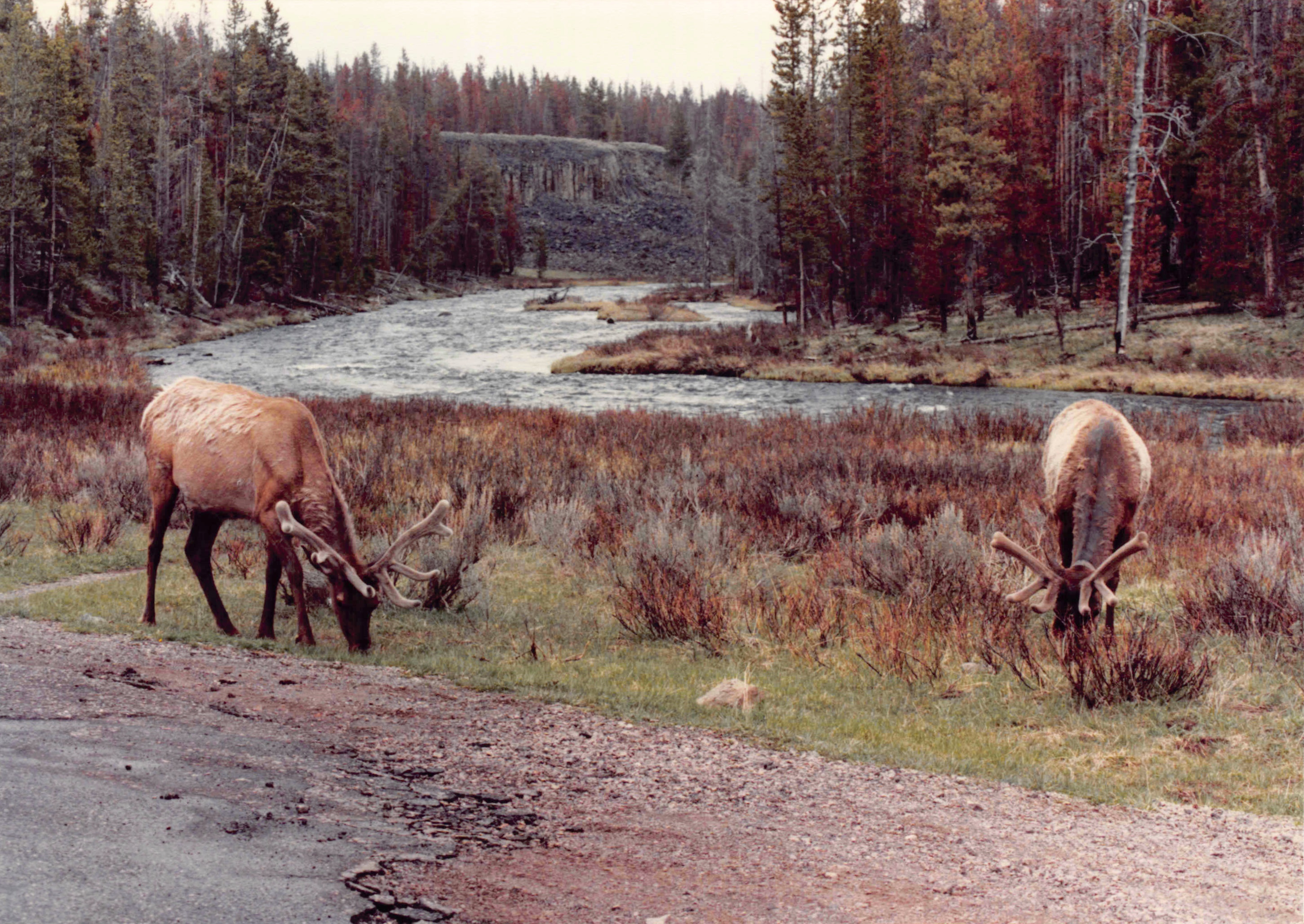 1985-1991_298.jpg