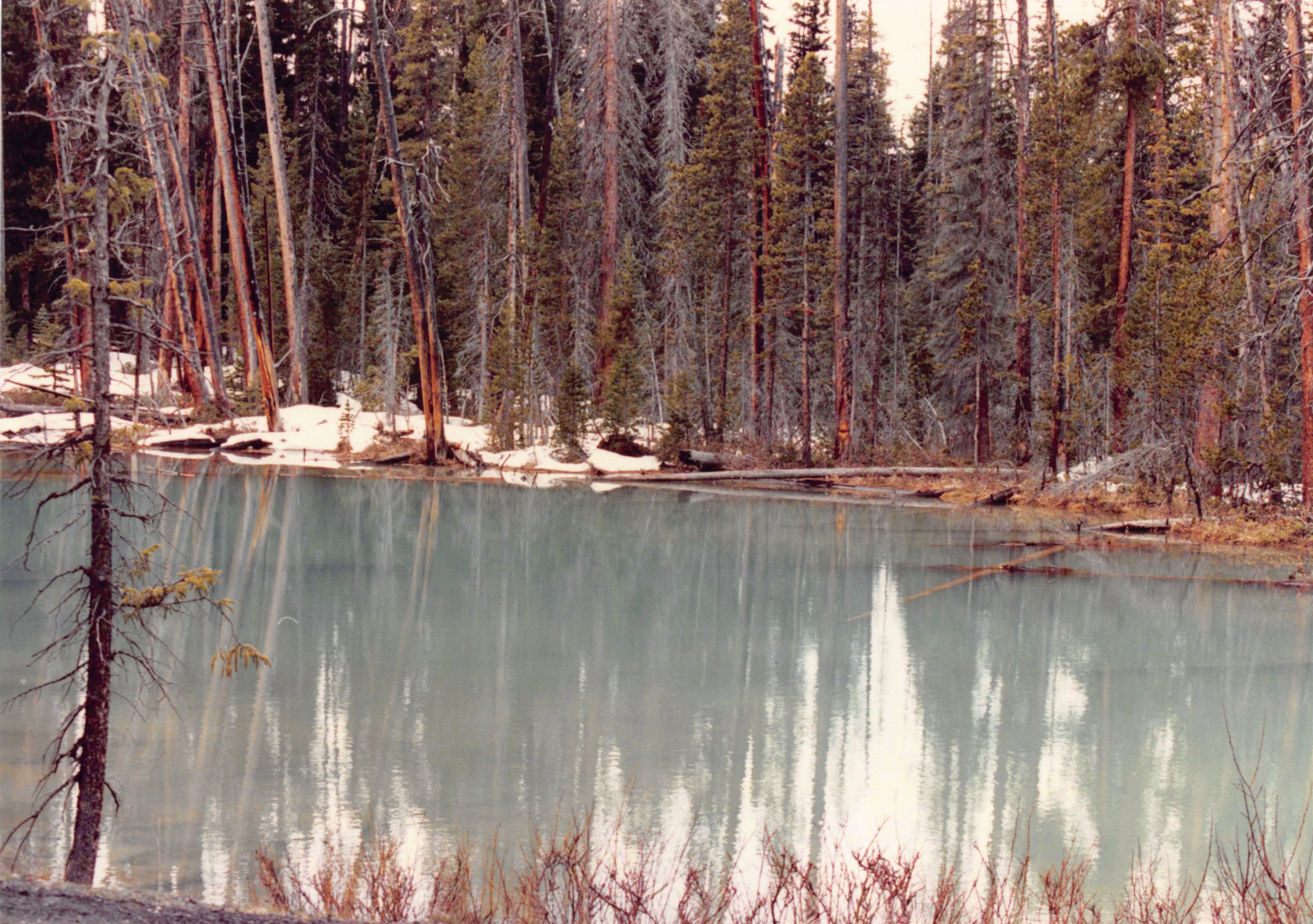 1985-1991_299.jpg