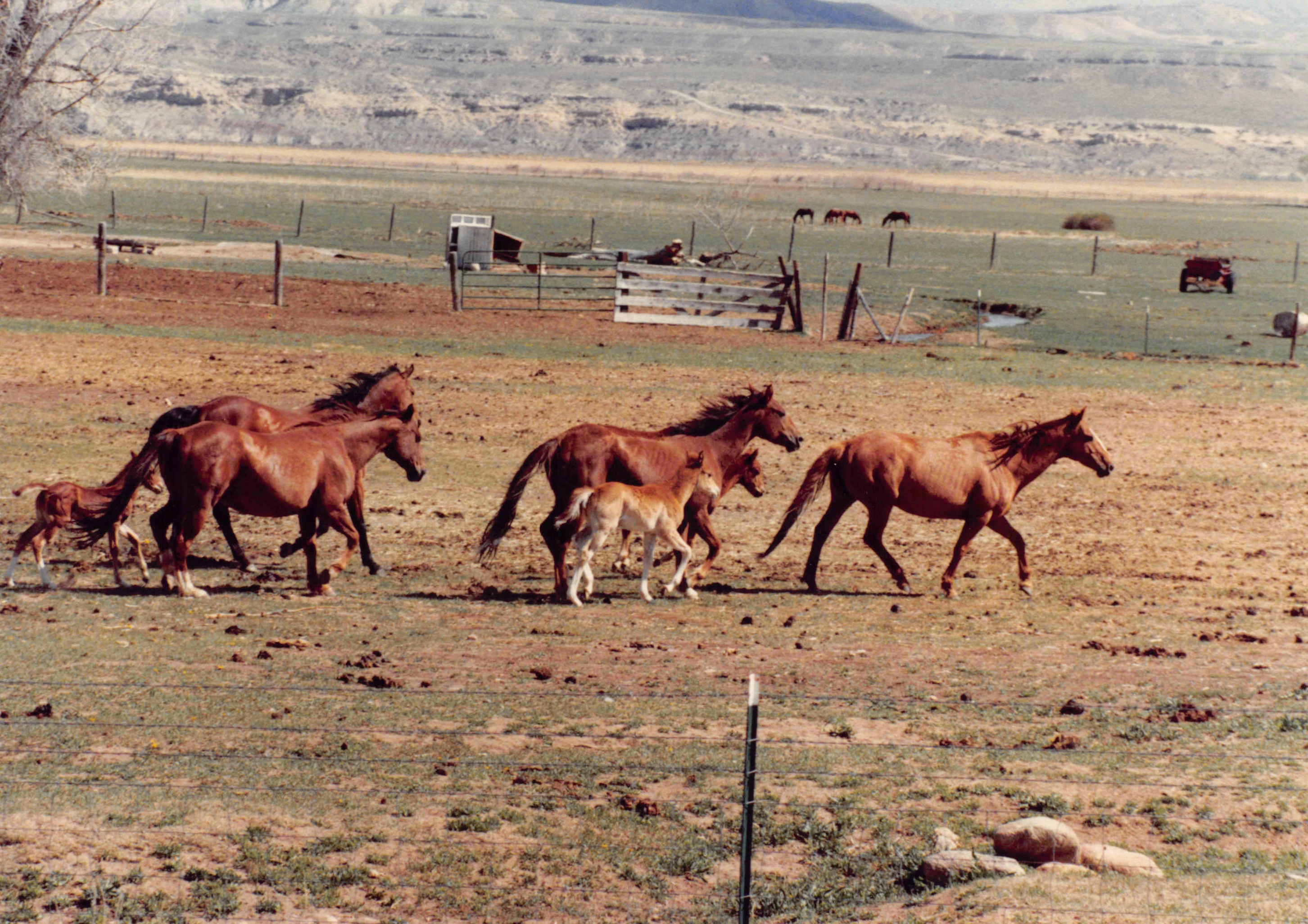 1985-1991_308.jpg