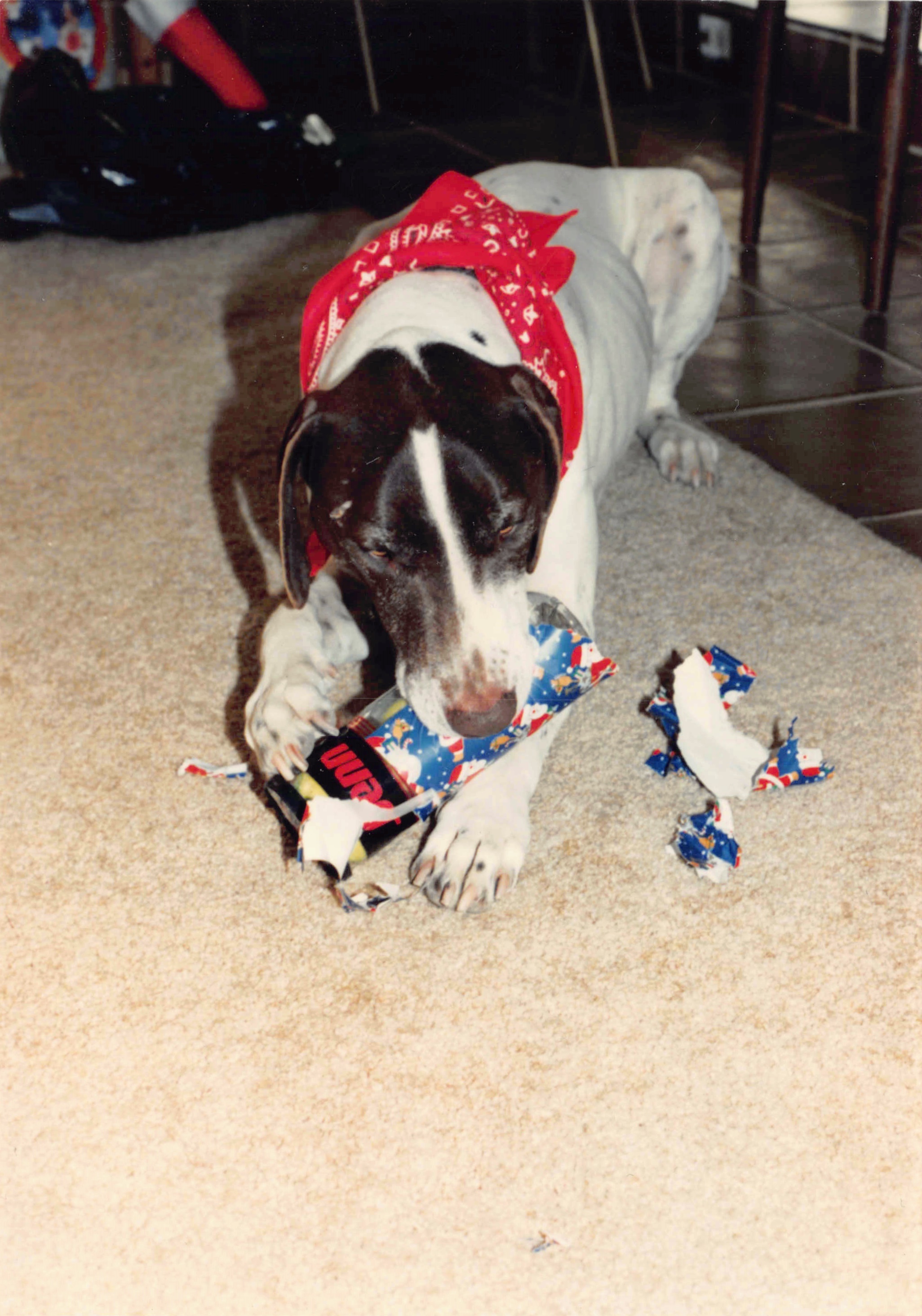 1985-1991_362.jpg