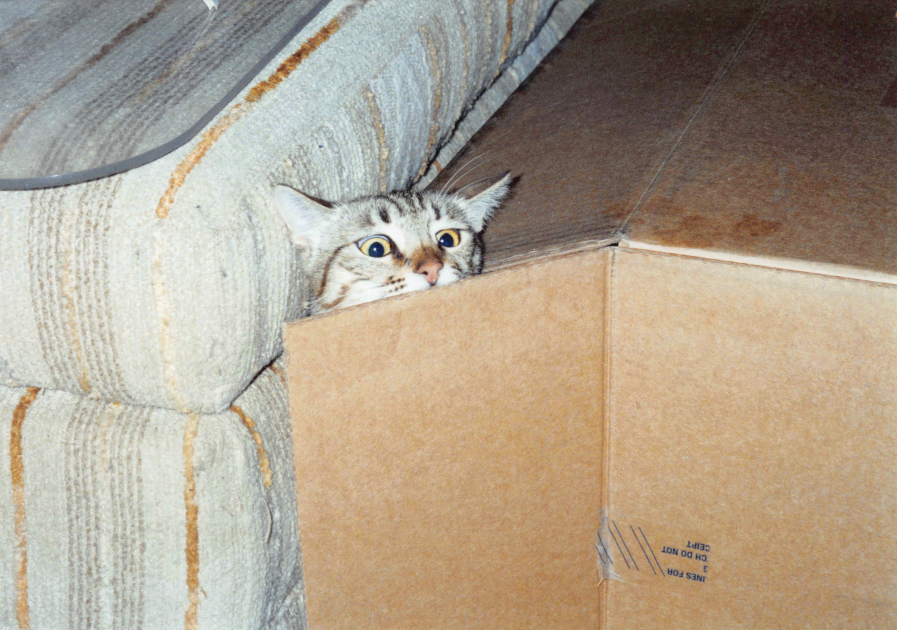 1996-2001_143.jpg