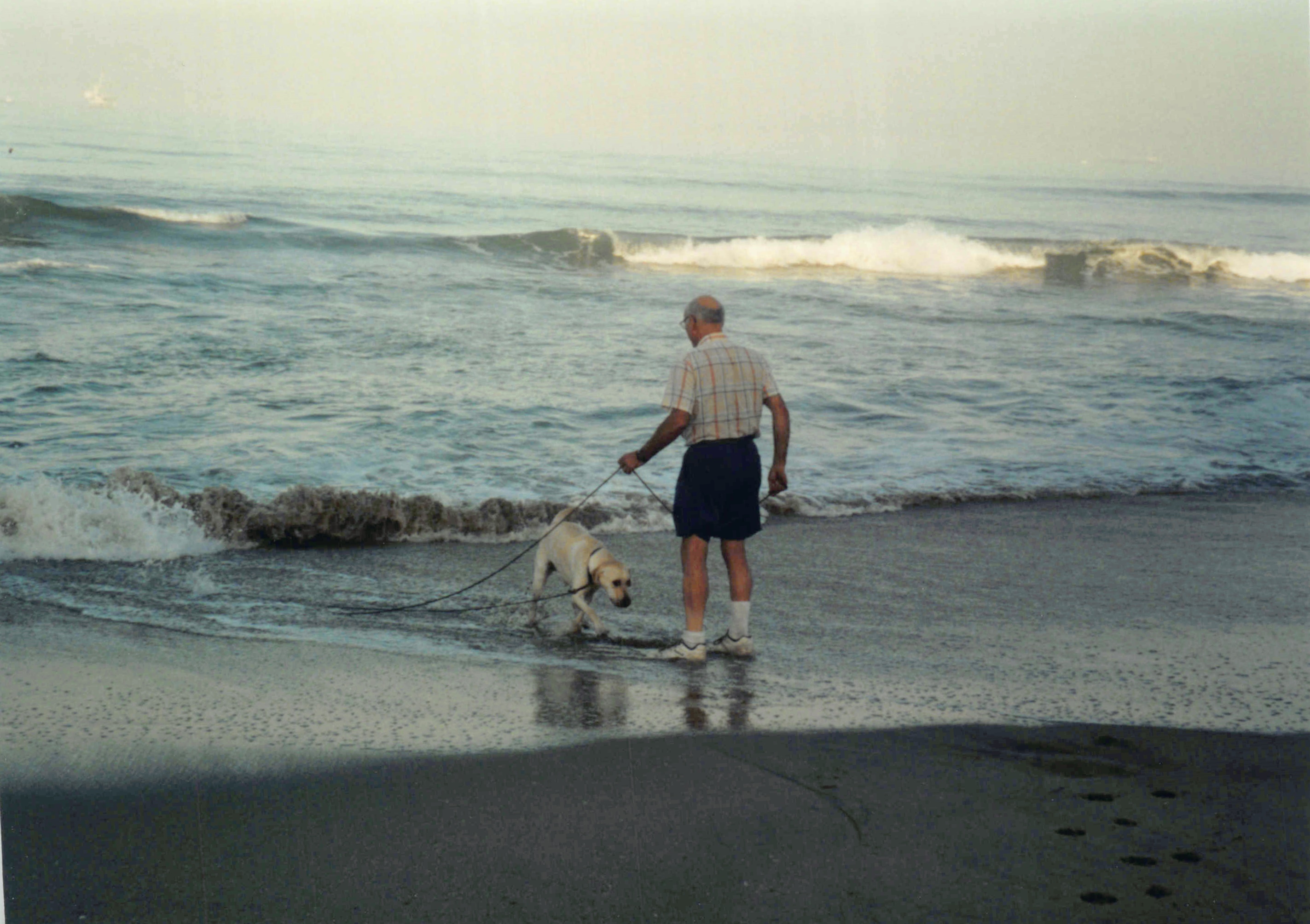 1996-2001_445.jpg