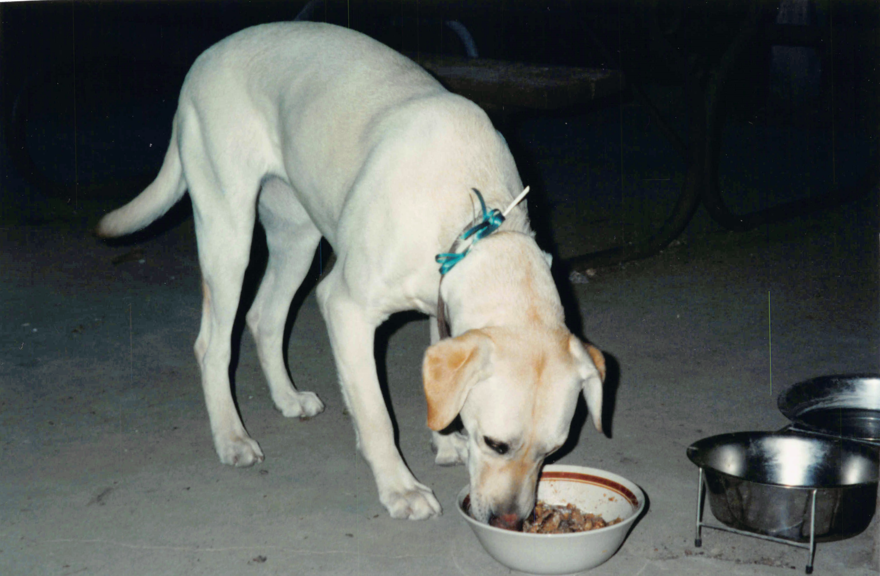 1996-2001_481.jpg