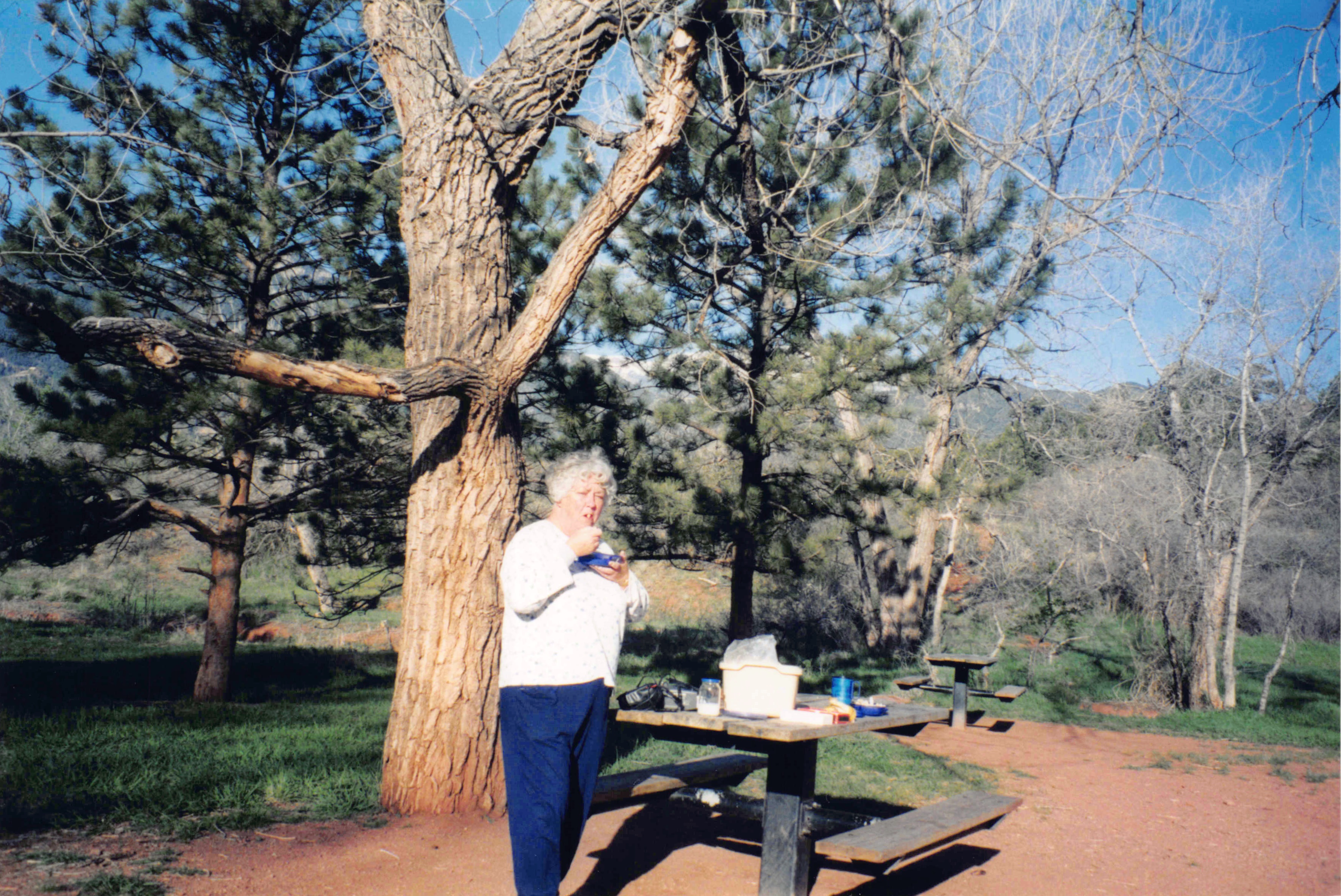 2002-2004_123.jpg