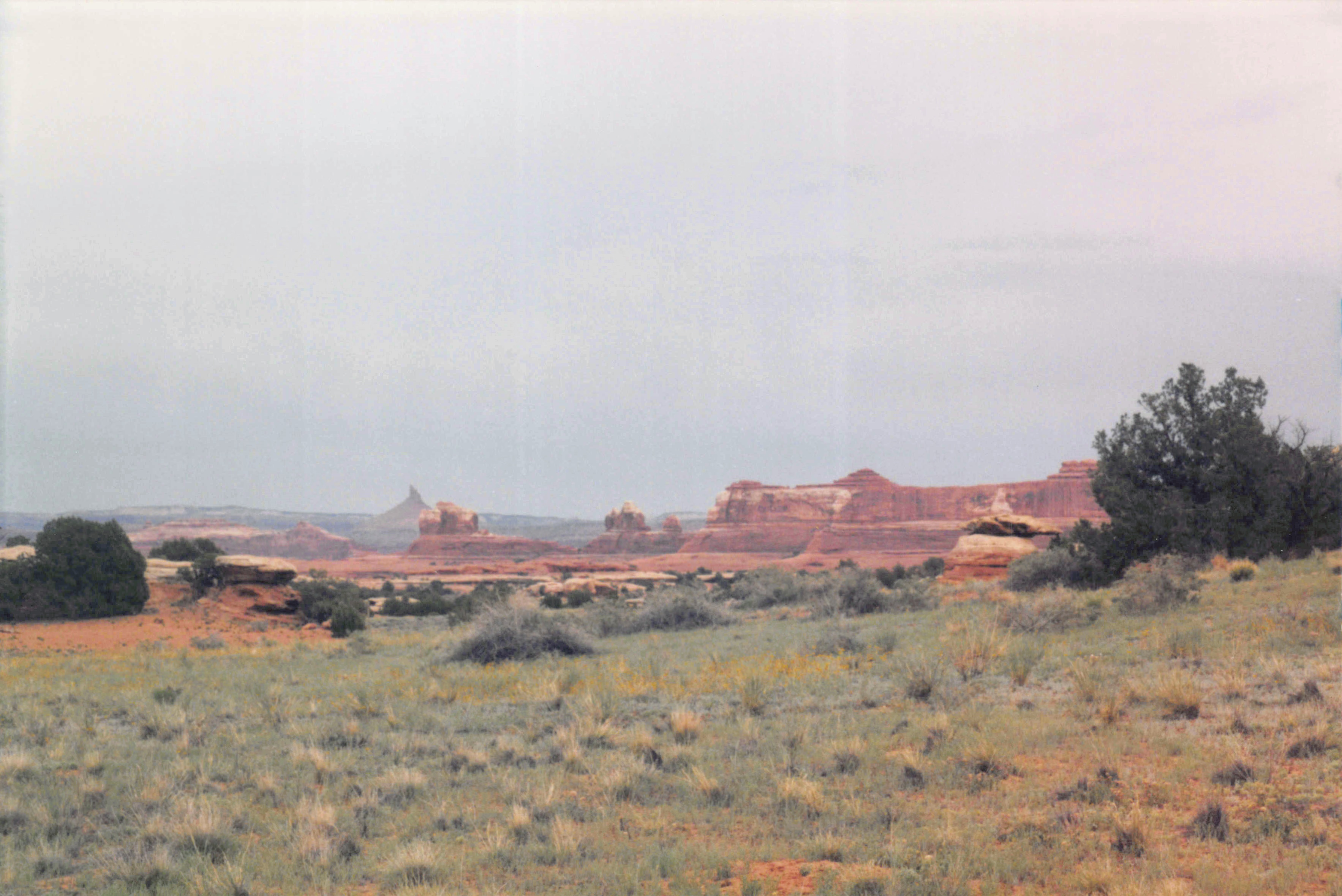 2002-2004_155.jpg