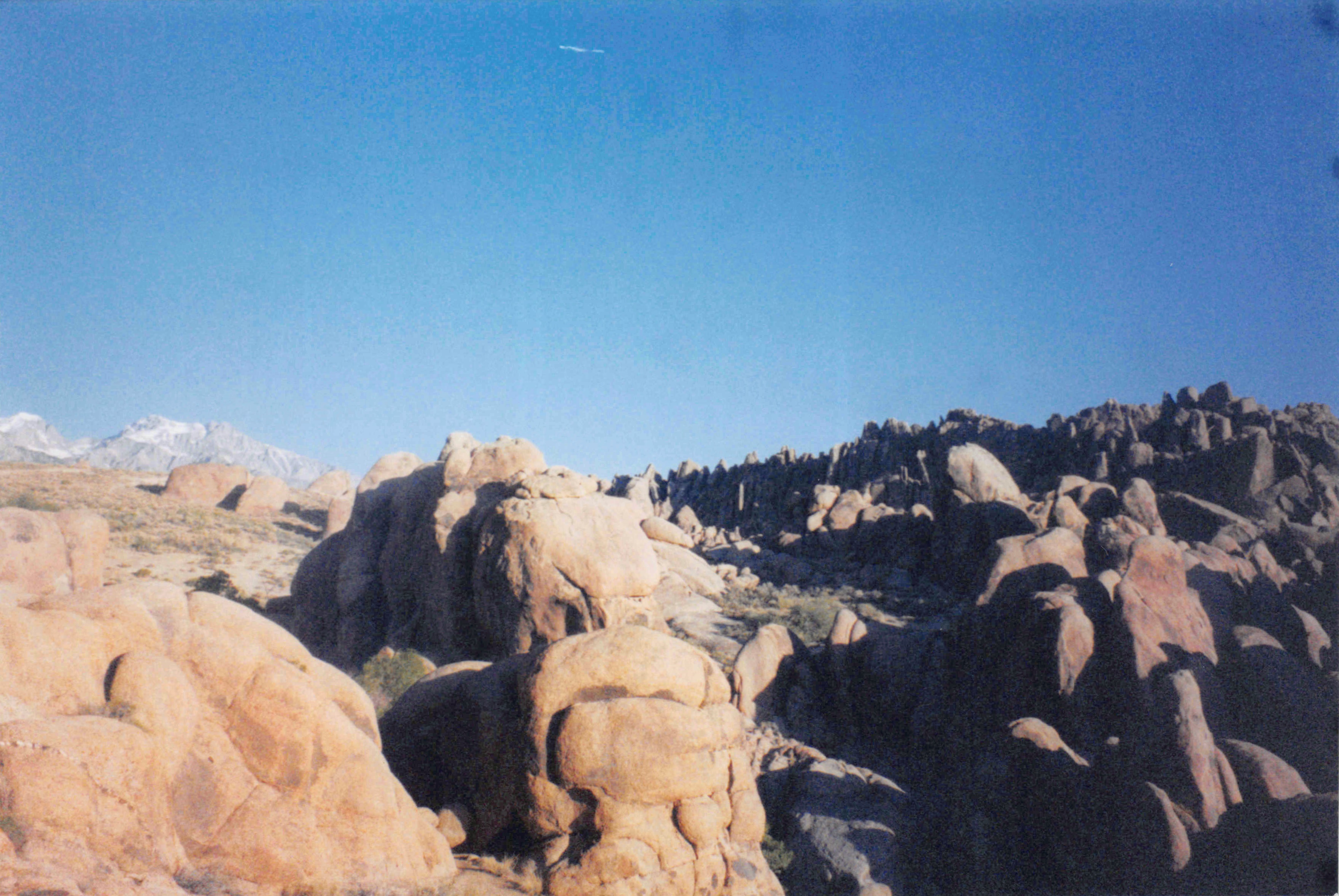 2002-2004_217.jpg