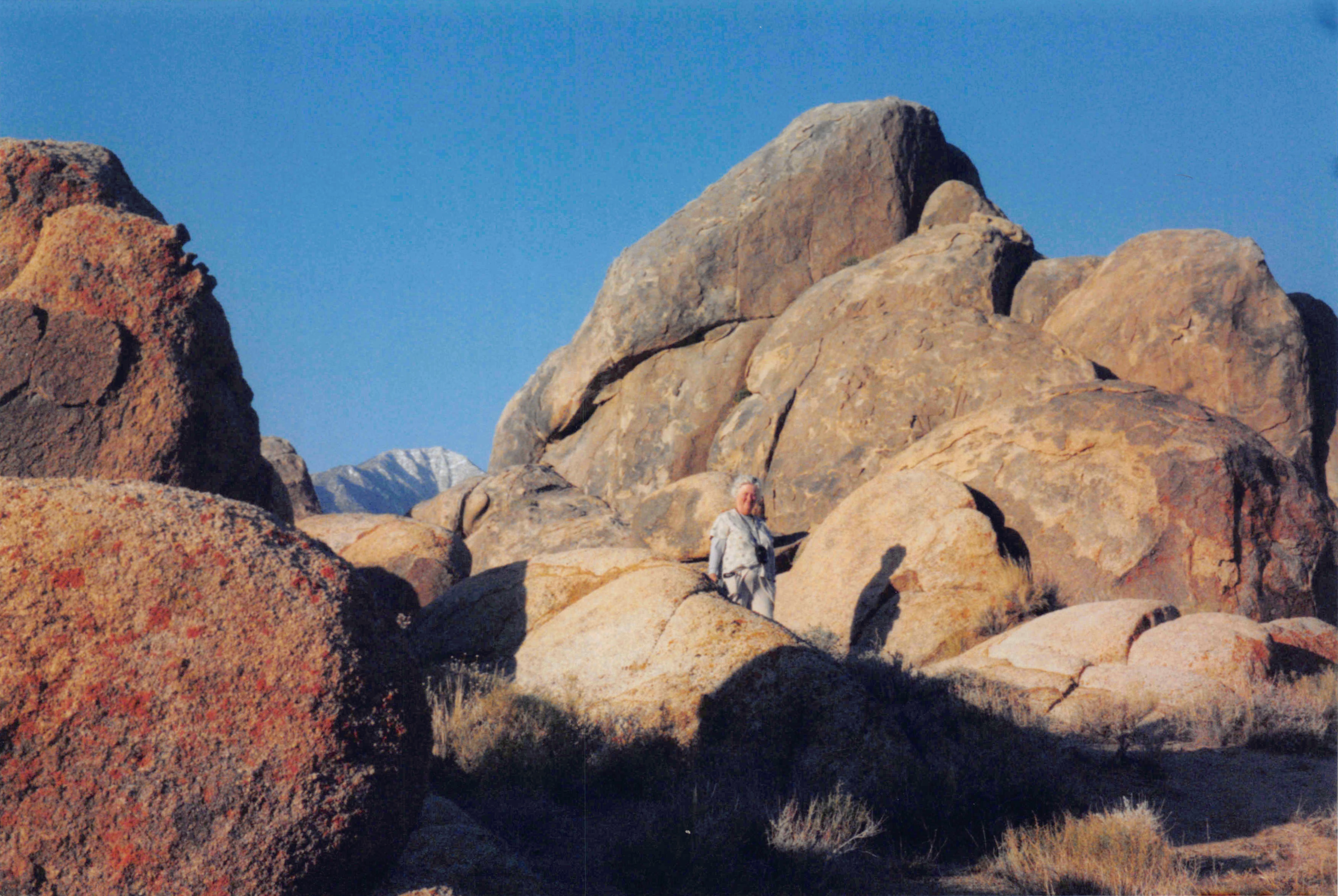 2002-2004_221.jpg
