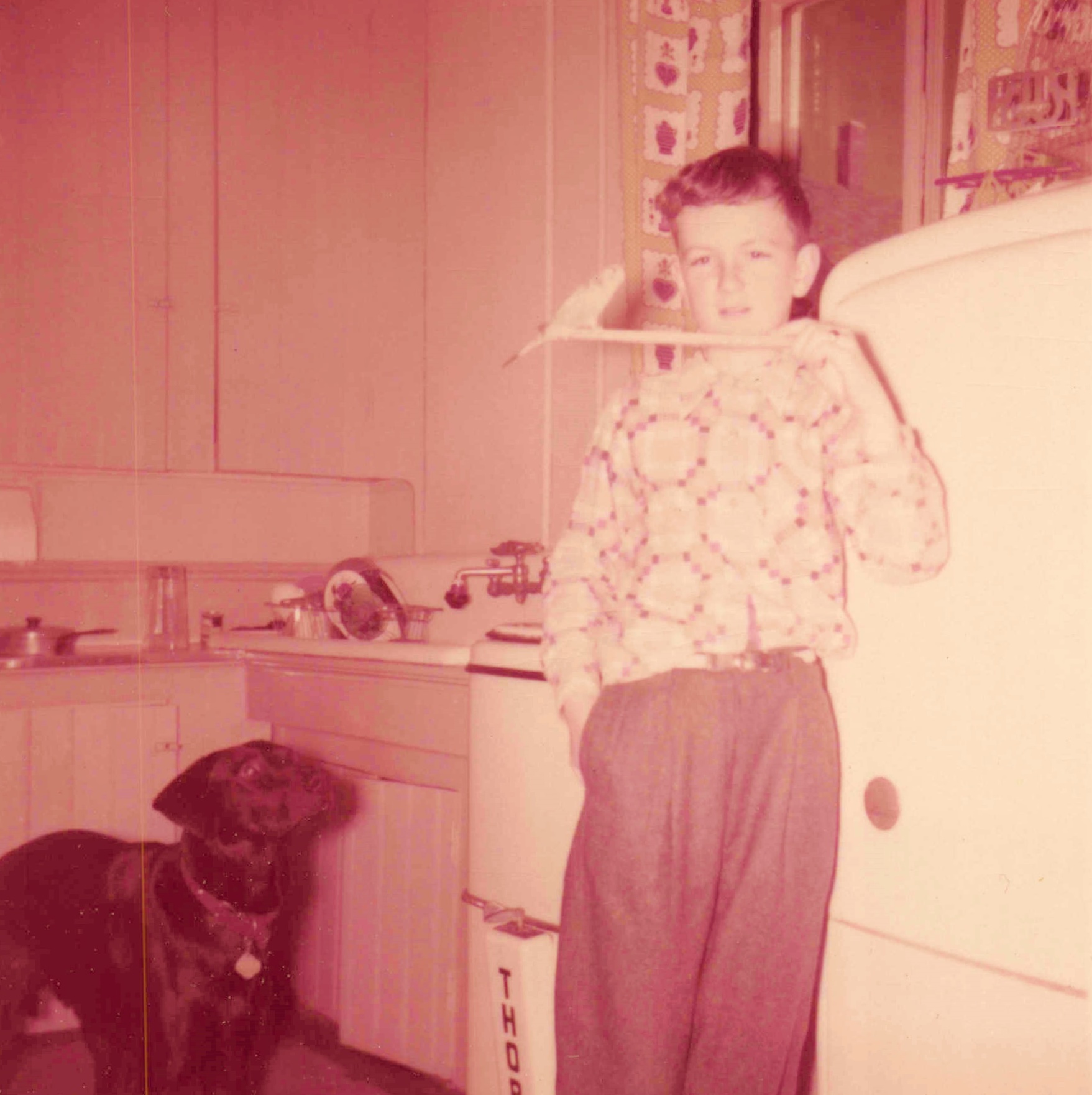 Old_Photo_Album_098.jpg