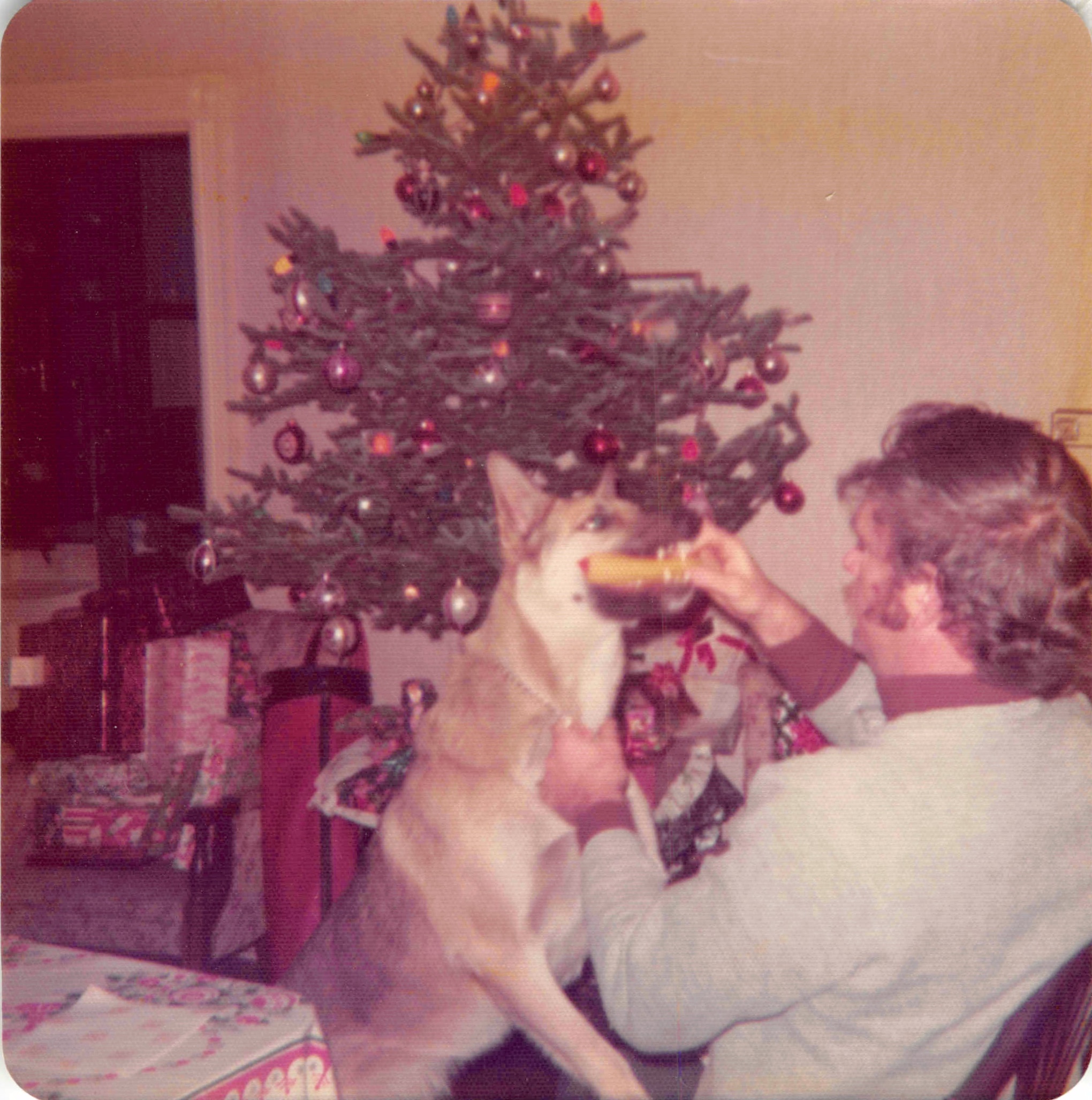 Old_Photo_Album_168.jpg