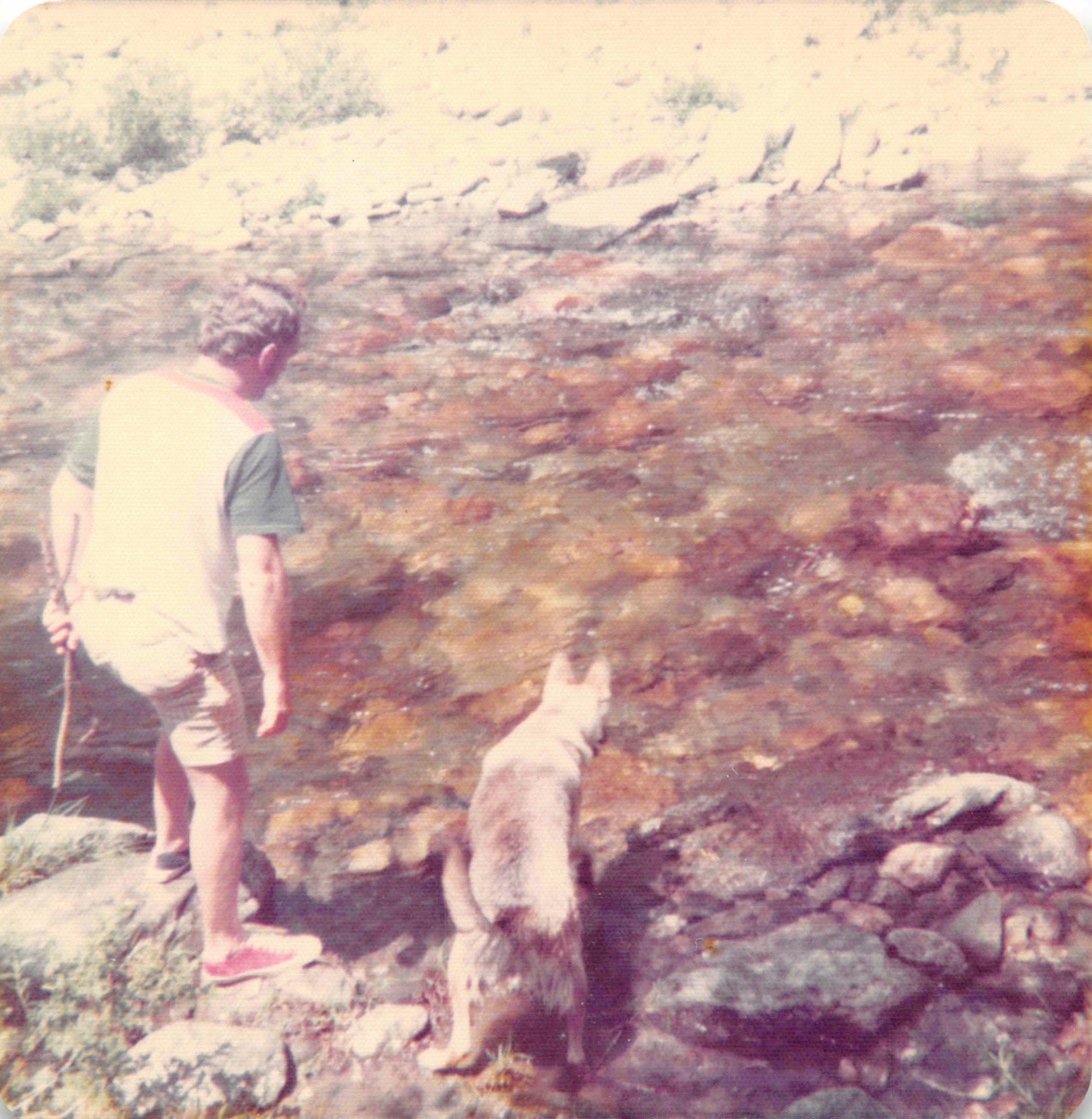 Old_Photo_Album_170.jpg